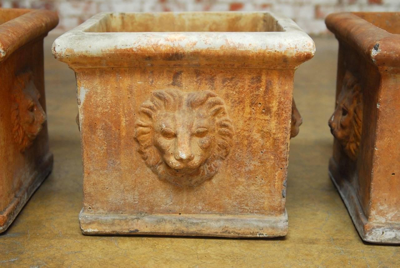 American Continental Style Sandstone Planters with Lions Head Motif