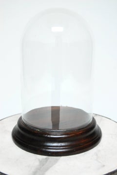 Large Glass Cloche Dome Bell Jar with Mahogany Base