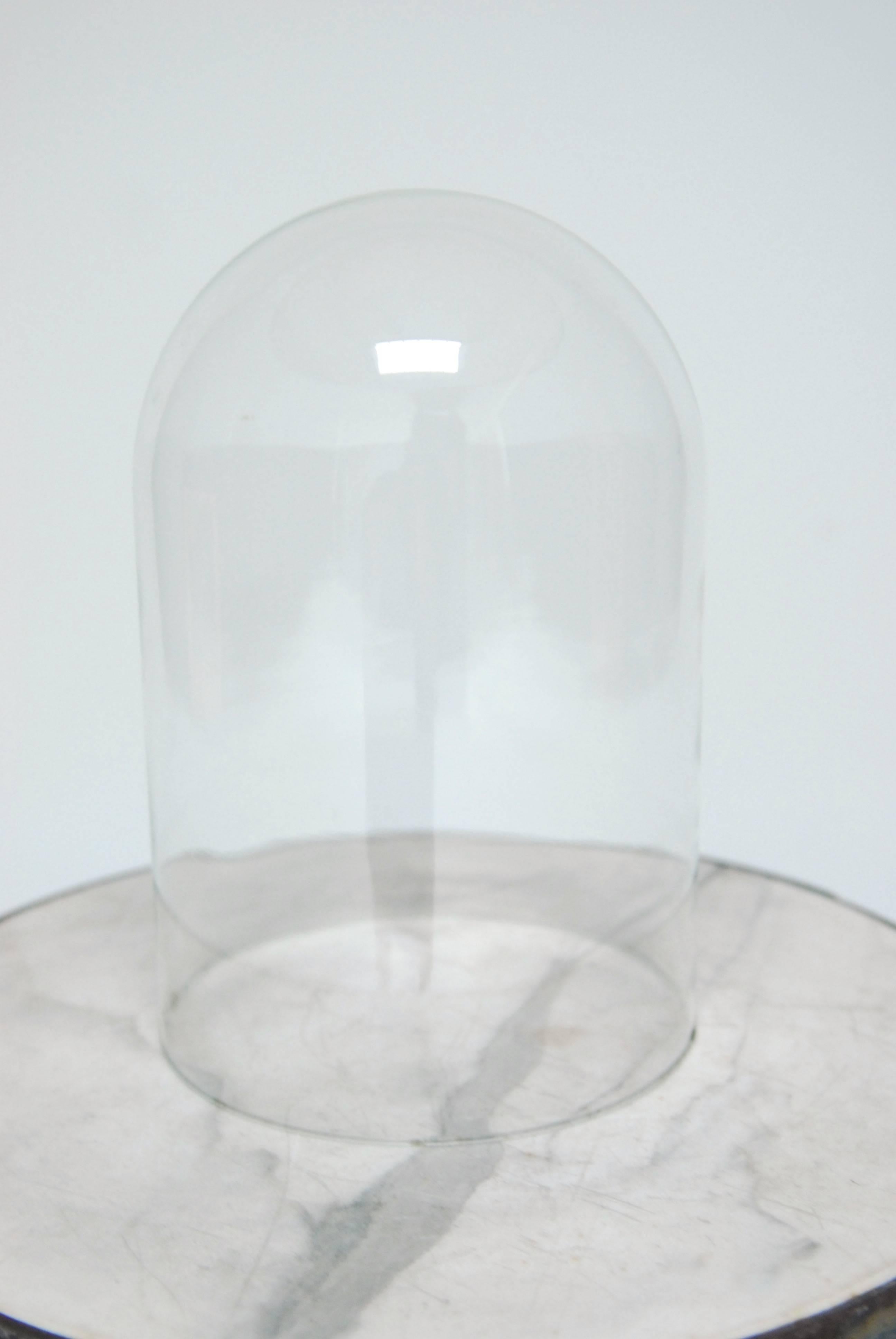 large glass bell jar