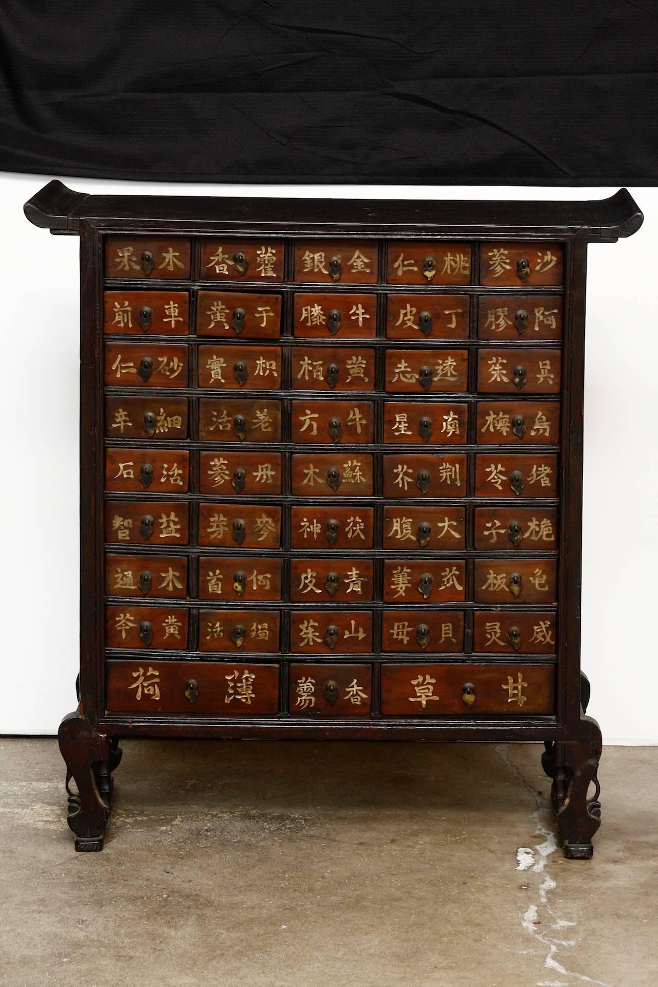 Chinese Pair of 19th Century Qing Dynasty Apothecary Cabinets or Chests 