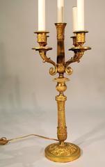 Pair of 19th Century French Four-Light Ormolu Candelabra