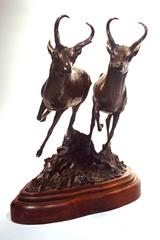 American Pronghorns, Bronze Sculpture by Veryl Goodnight