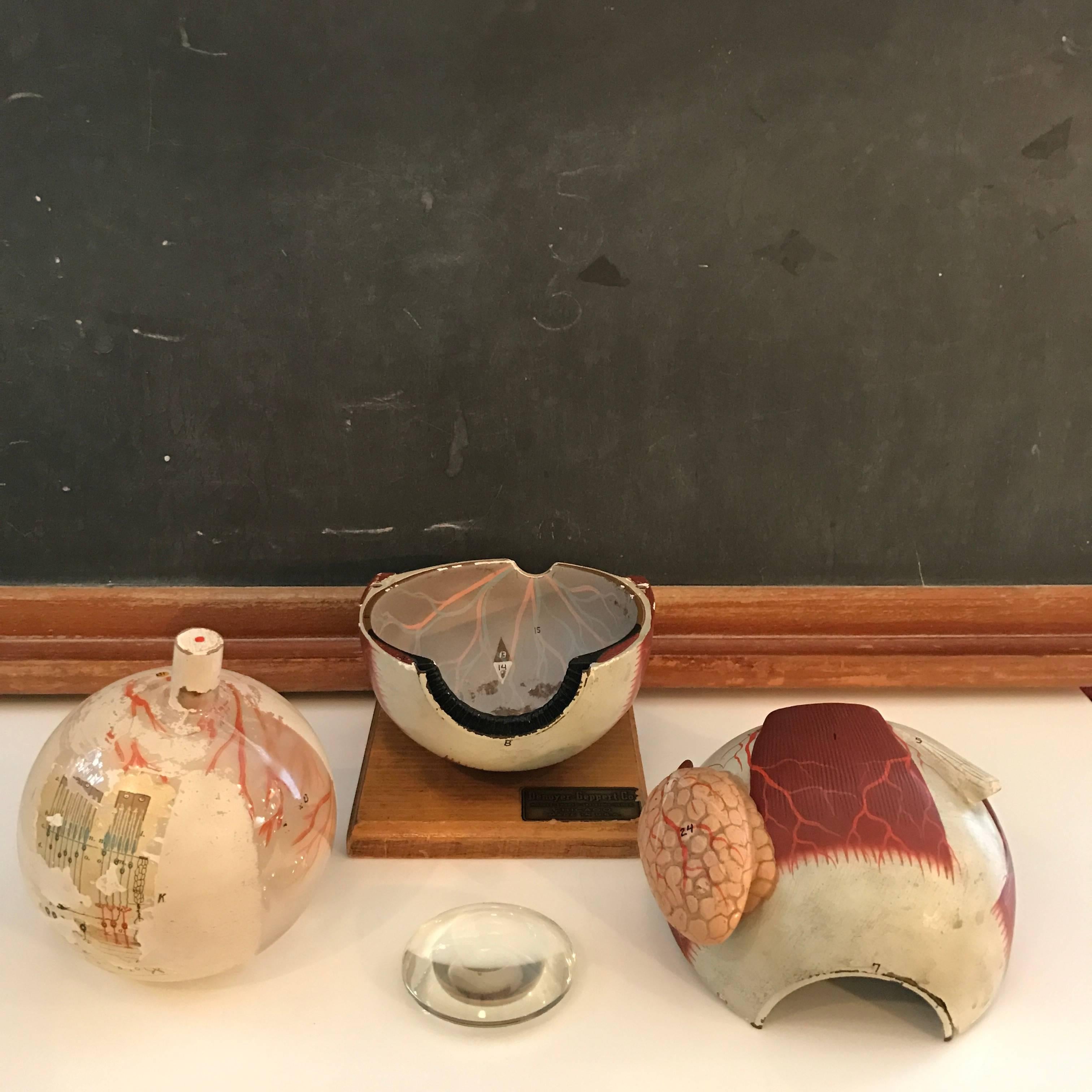 Glass Denoyer-Geppert Co. Anatomical Educational Eye Model