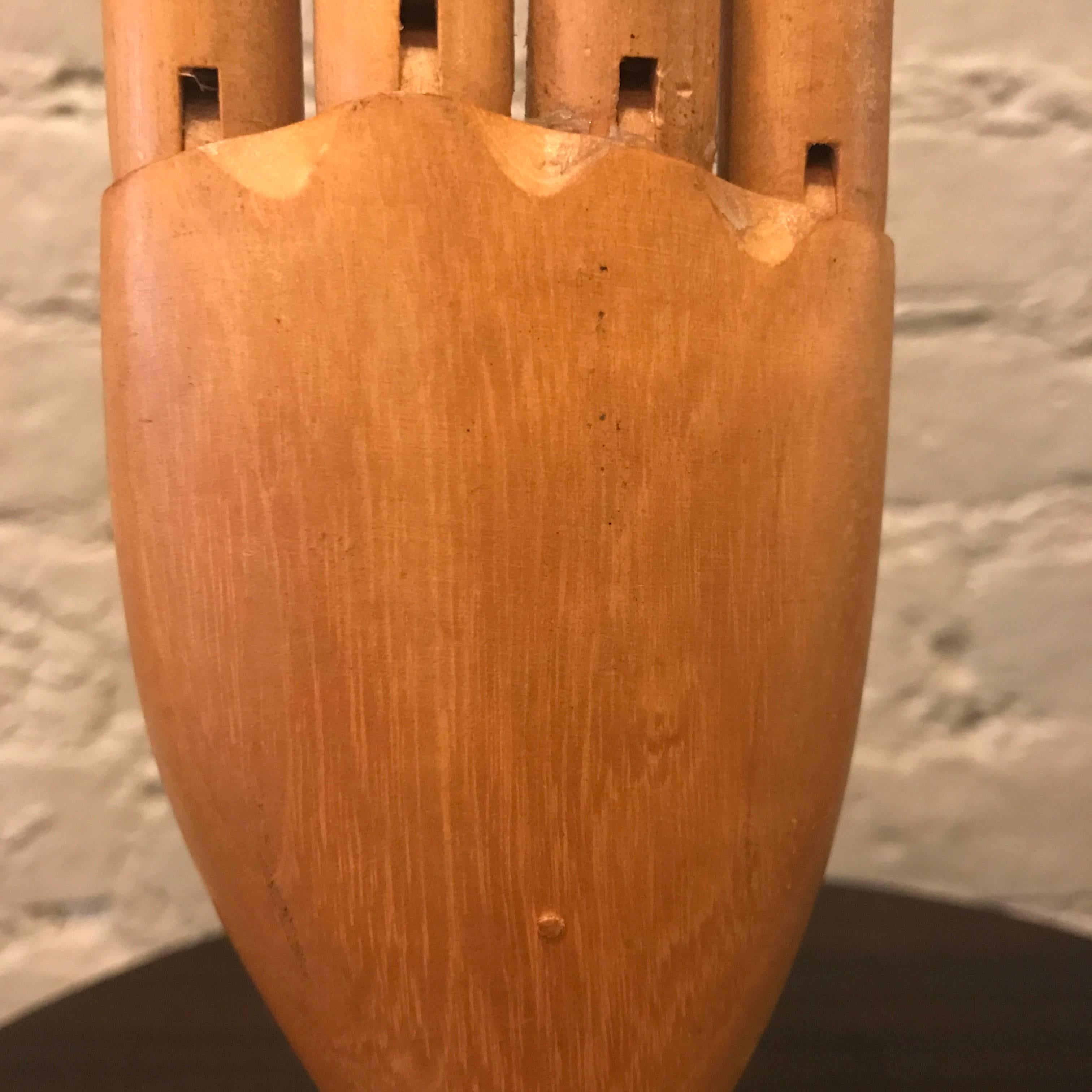 Articulating Maple Artist Hand Model 2