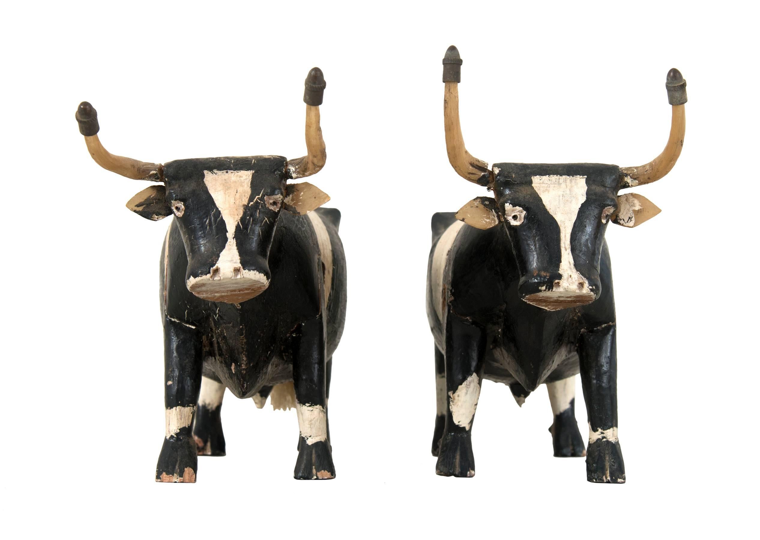 Pair of carved Folk Art steers. Carved wood with original paint, bone horns with metal tips. Beautifully stylized, American, circa 1920. 
Each steer is a slightly different size. These are the extreme dimensions 10 1/4