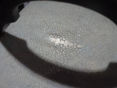Augousti Shagreen Box Vintage R & Y Augousti