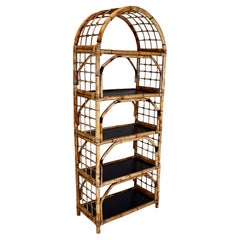 Coastal Regency British Colonial Tortoise Bamboo Etagere Bookcase Shelf Arched