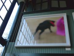 Bullfight Photograph No.1 by Michael Stuetz