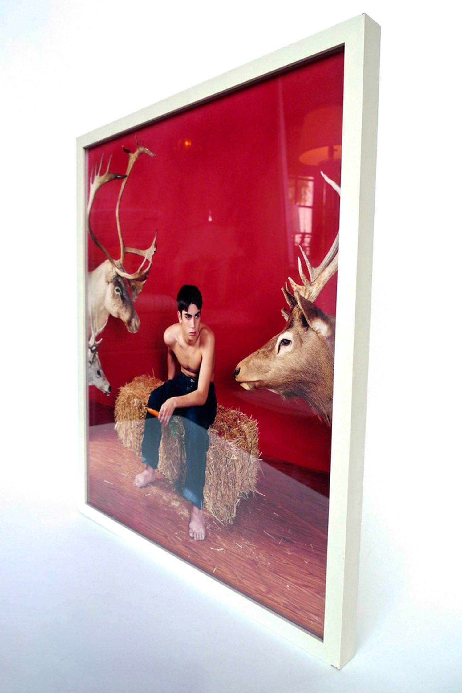 The red backdrop in this Michael Stuetz photograph grabs you first and makes you focus on the strange collection of details: The shirtless and shoeless young man holding a carrot, the bundle of hay he is sitting on, his big feet, the woodgrain of