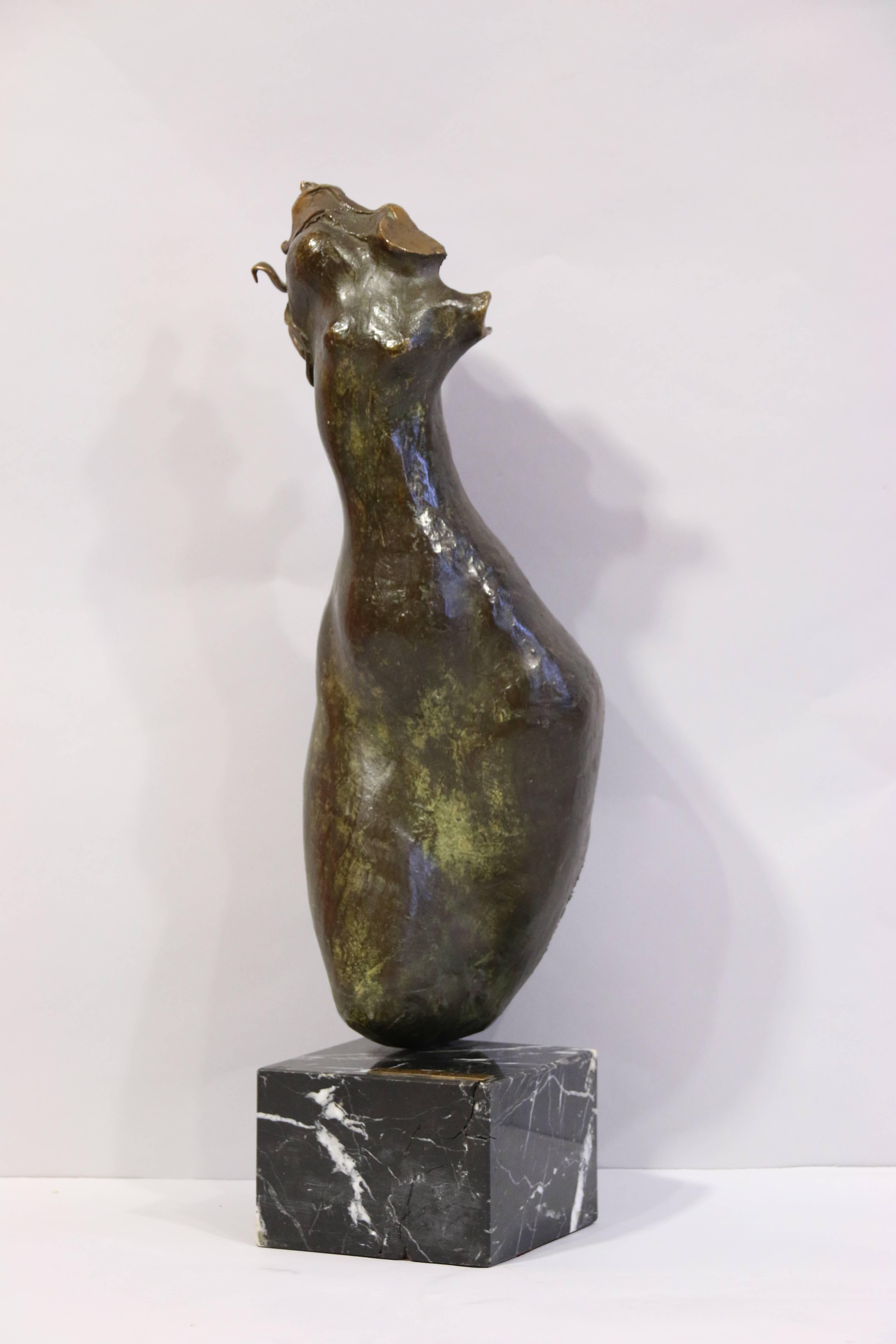 Bronze with brown patina
Lost Wax
Signed
Marble base

Clemente OCHOA. Born in Spain, 1937