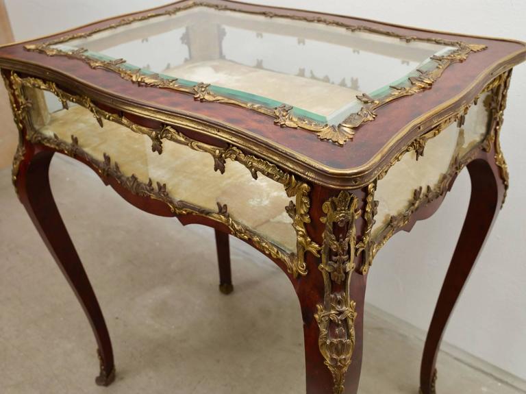19th Century Rosewood Display Case, France at 1stDibs