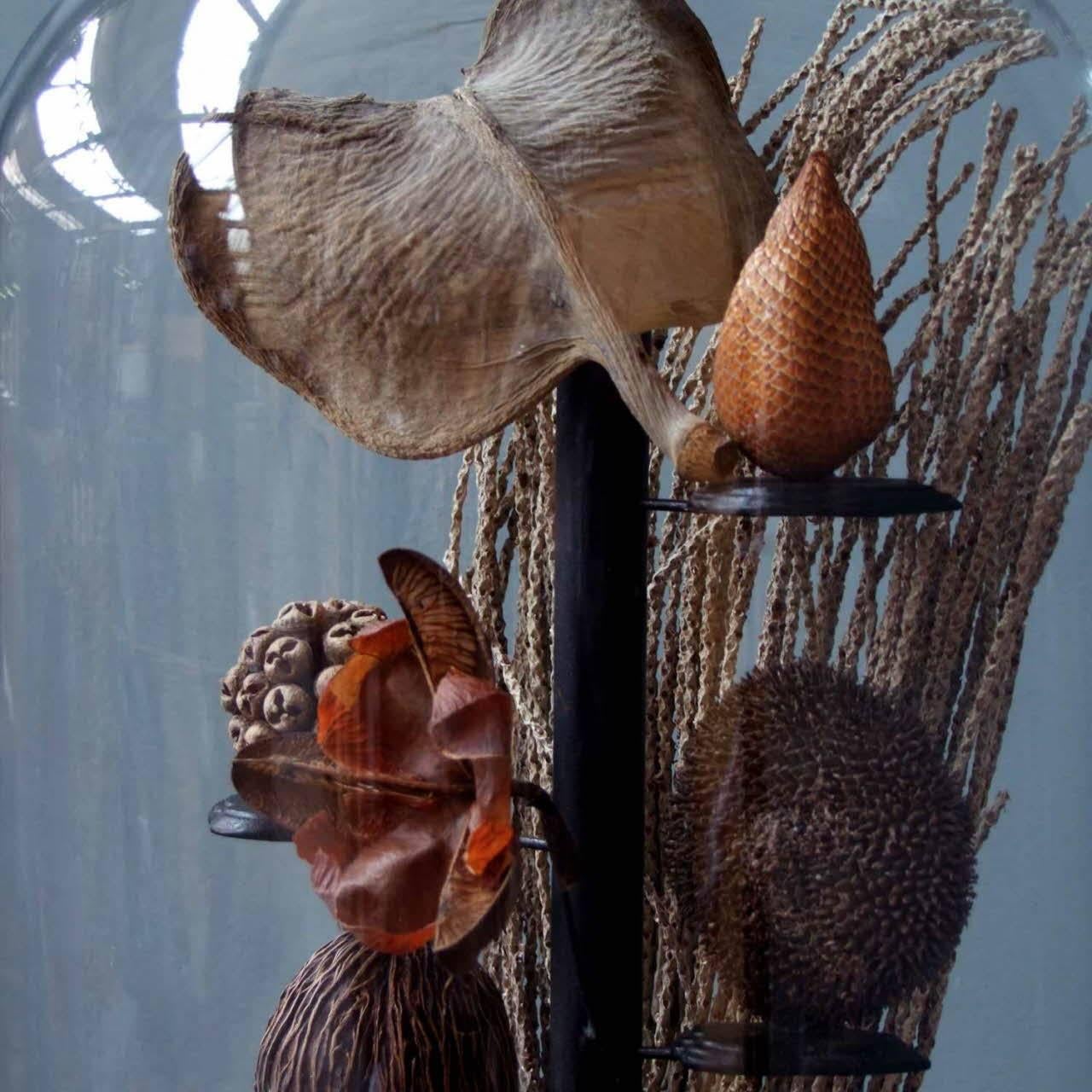 French Collection of Seed Taxidermy For Sale