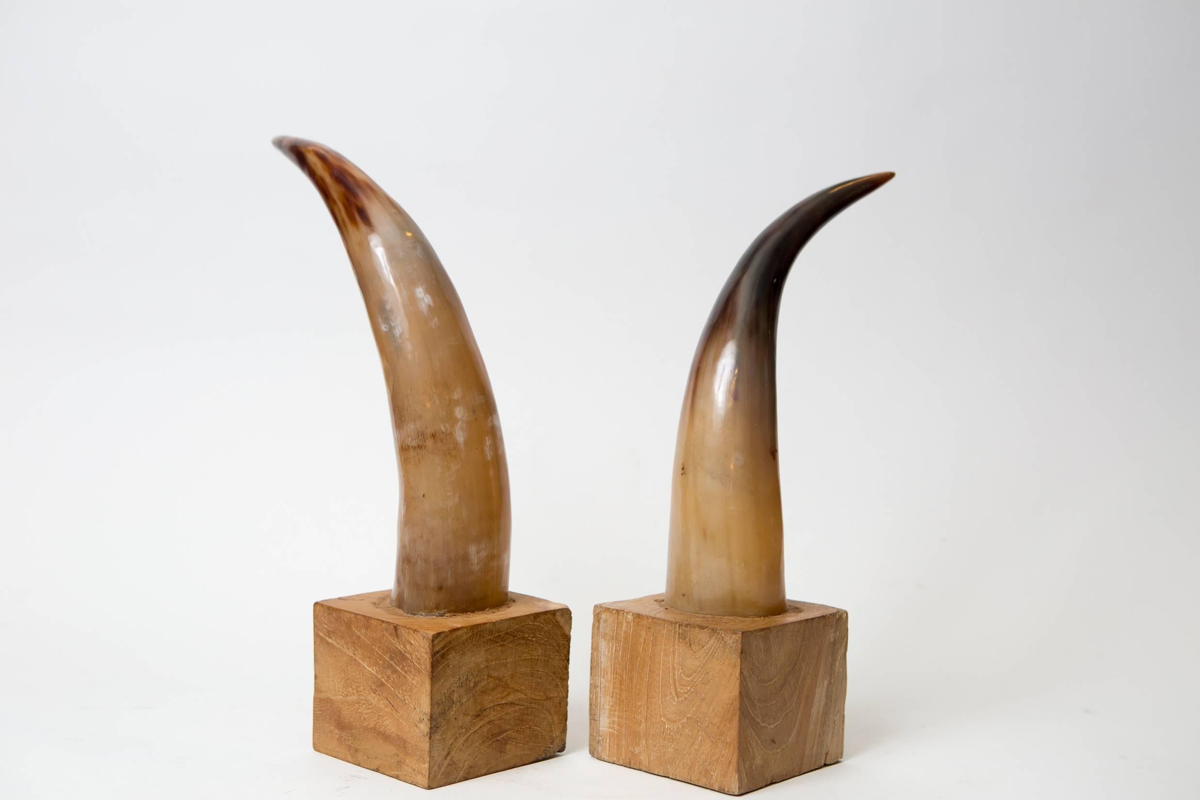 WIP

Natural Horn bookends produced by Moo Moo Designs.

2272-249