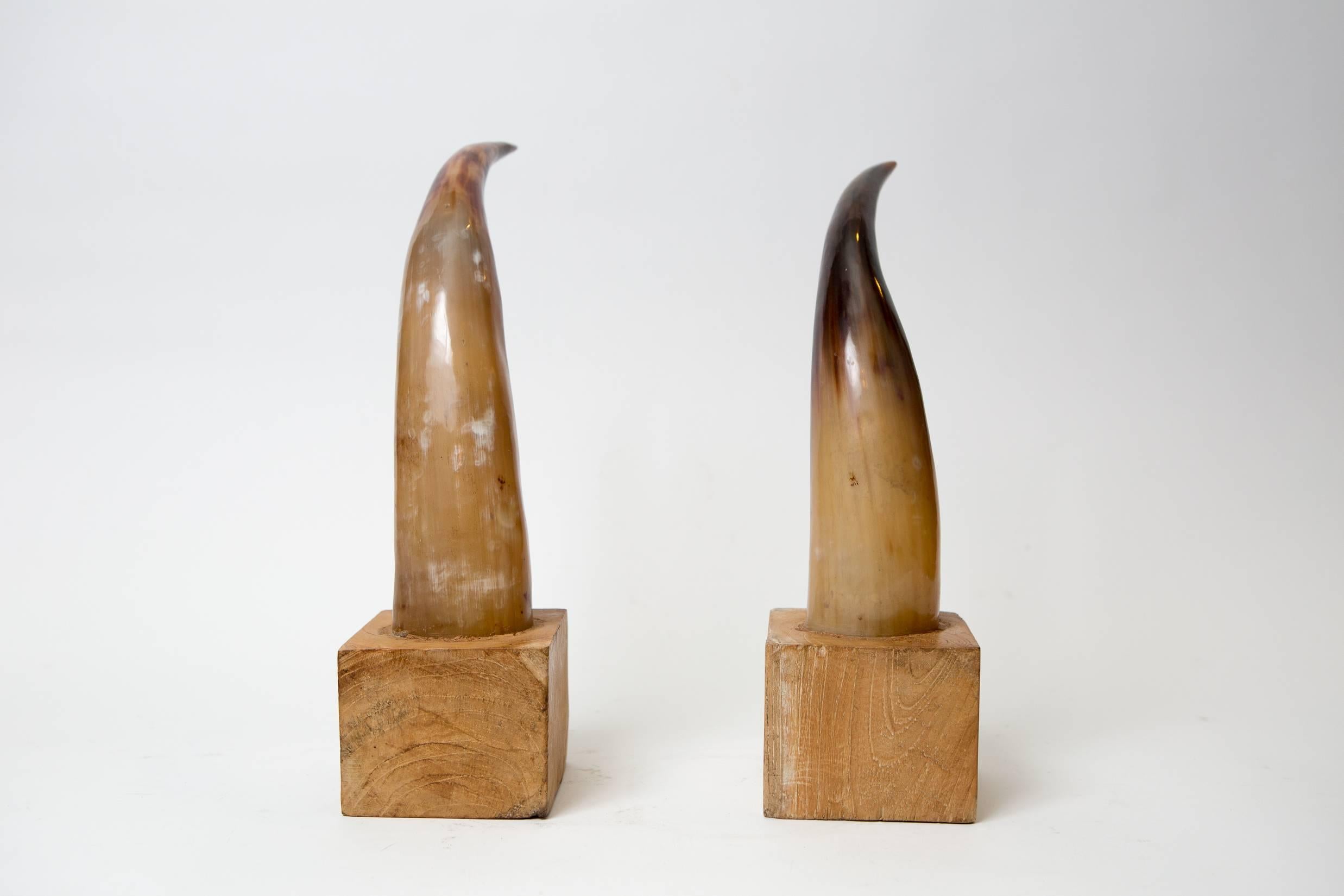 American Moo Moo Designs Horn Bookends