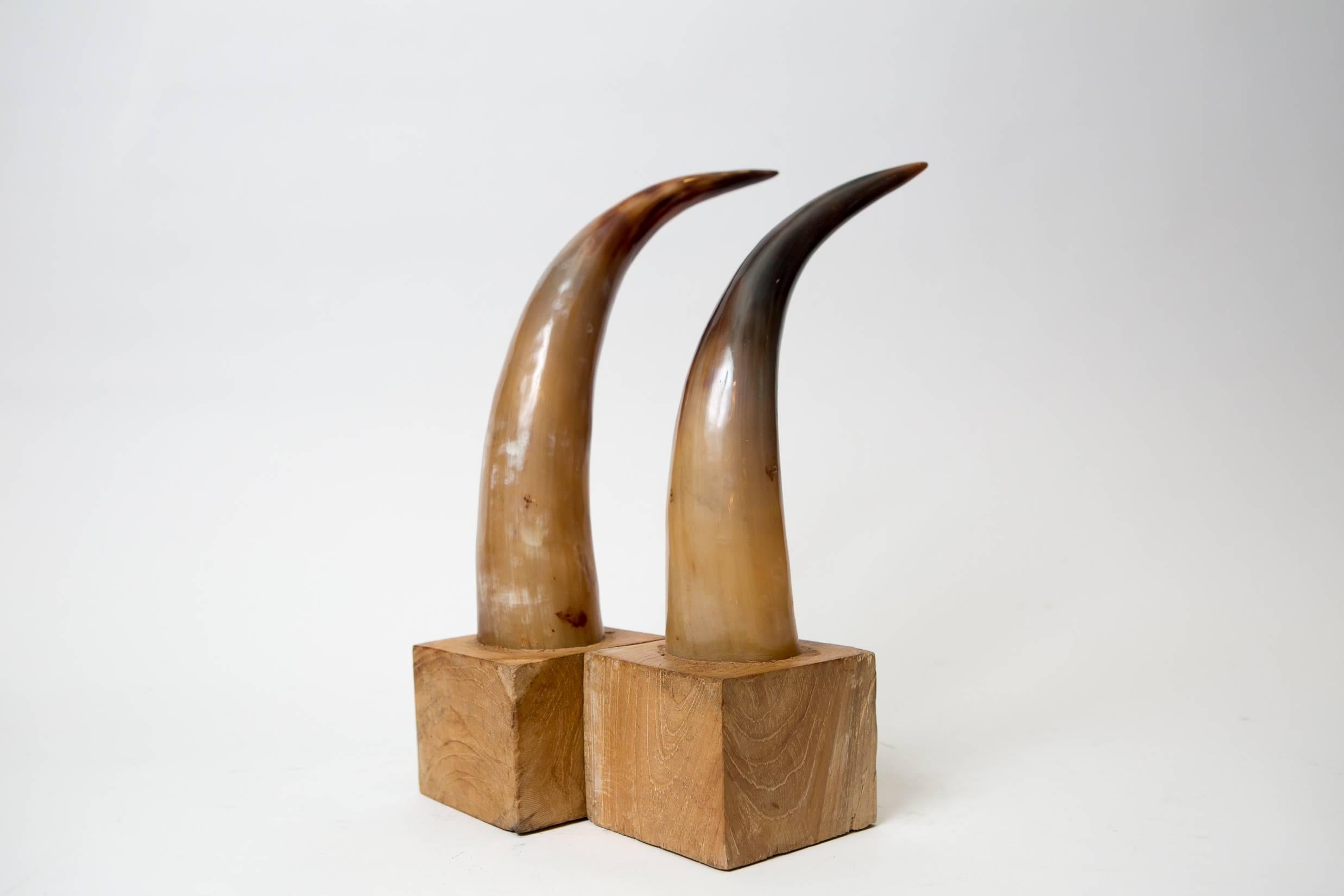Moo Moo Designs Horn Bookends In Excellent Condition In Bridgehampton, NY