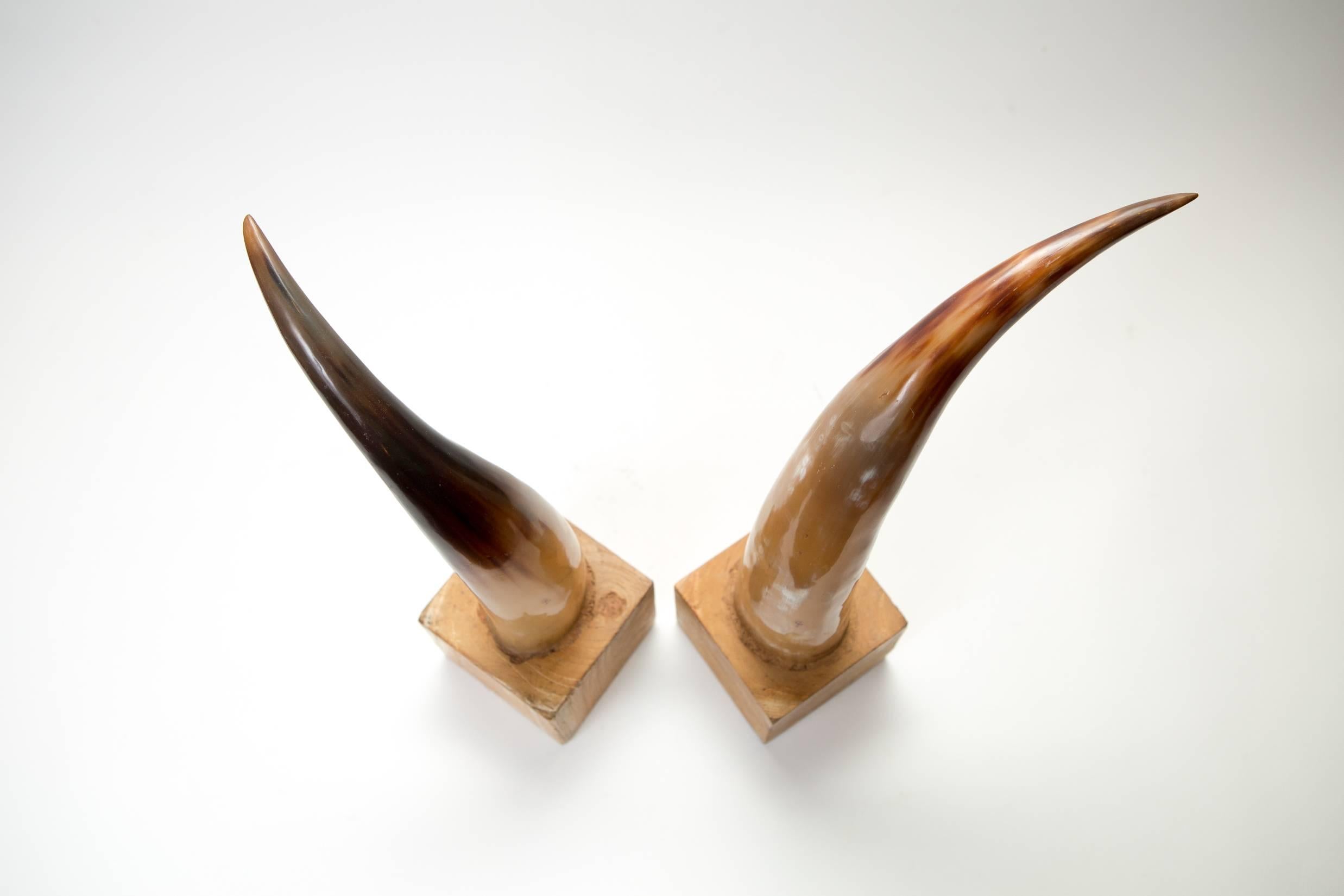 Moo Moo Designs Horn Bookends 2