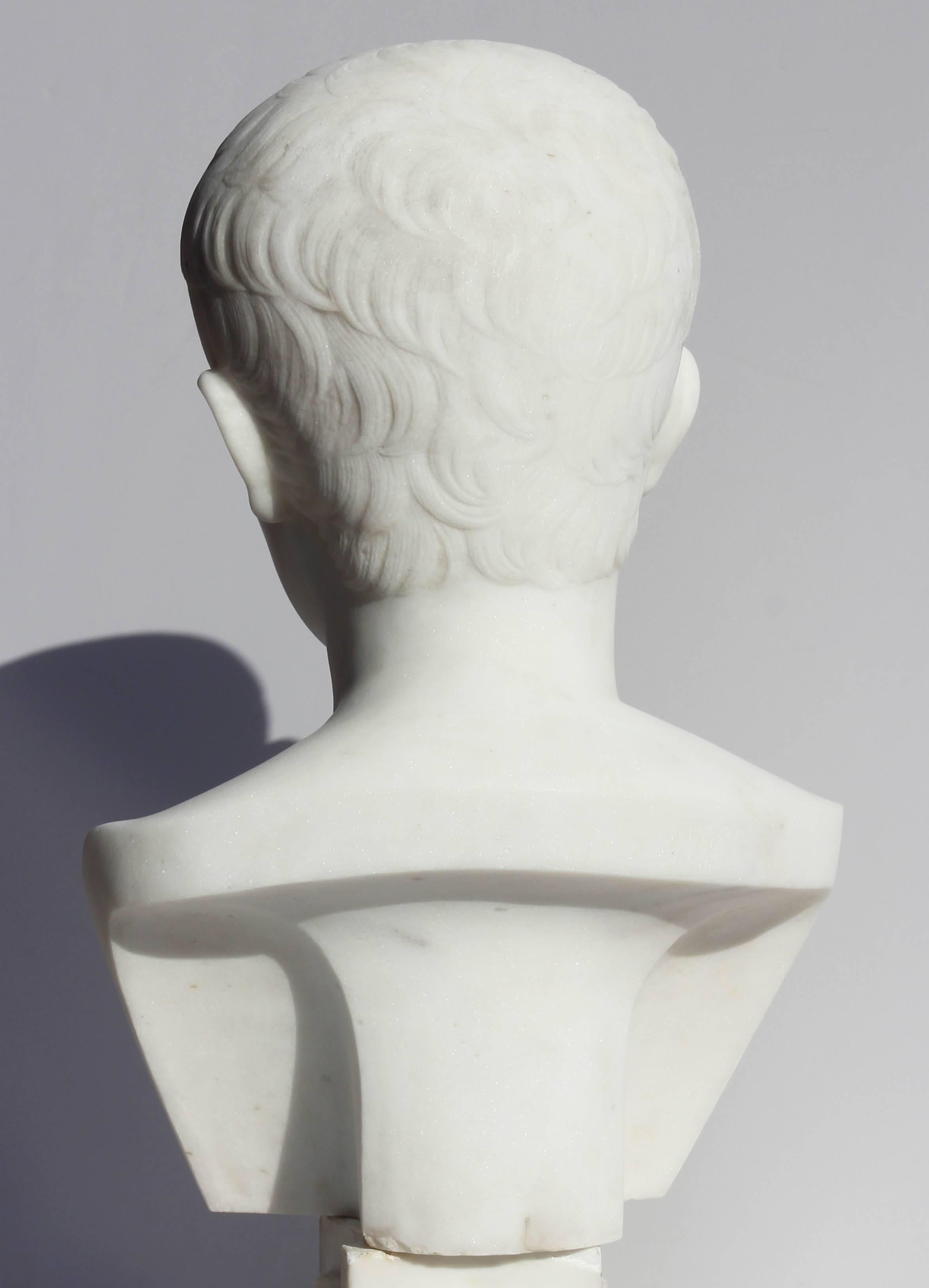 bust of young caesar