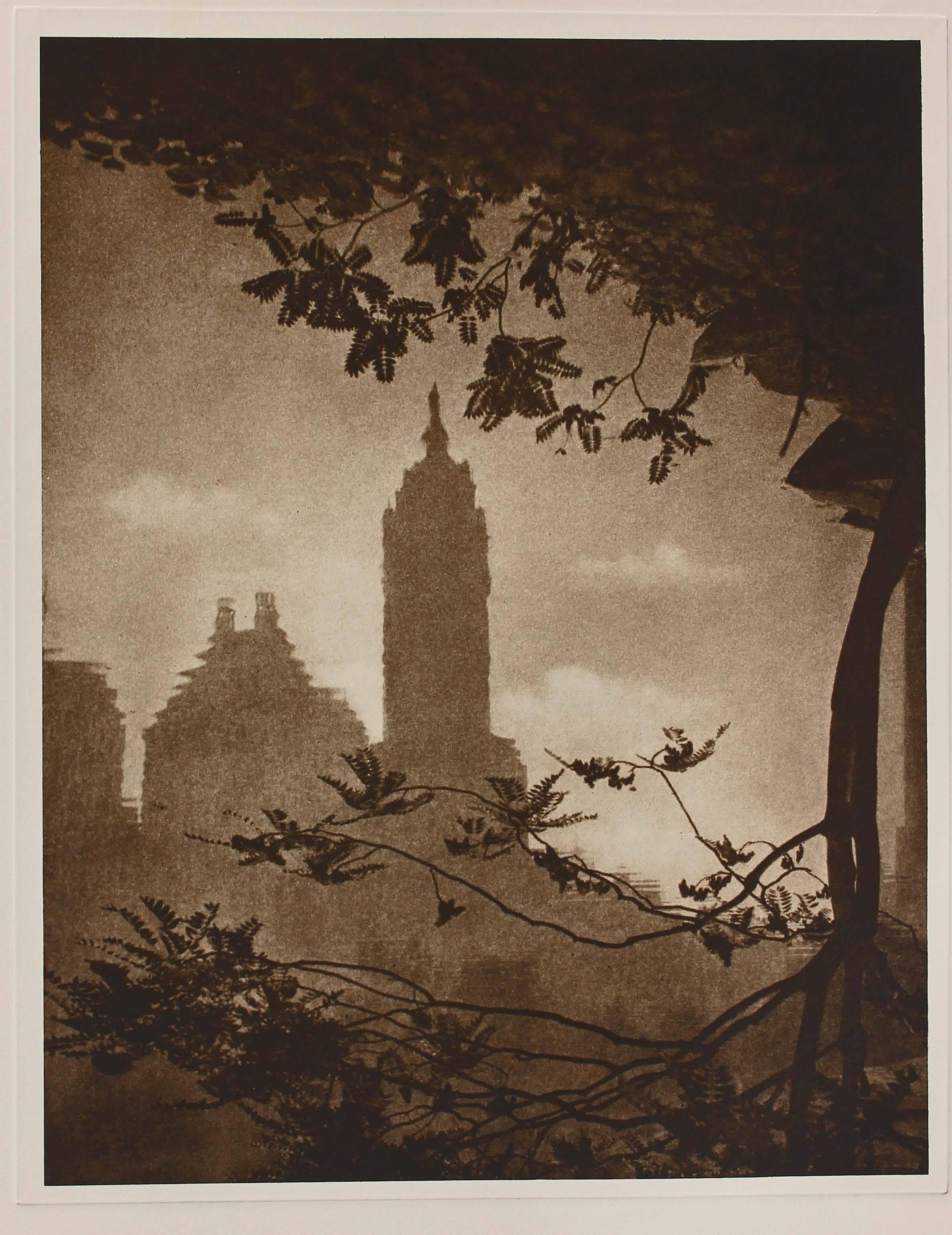 Original vintage photogravure, photography by Adolf Fassbender from his book Pictorial Artistry: The Dramatization of the Beautiful. From a limited edition of 1000. 11