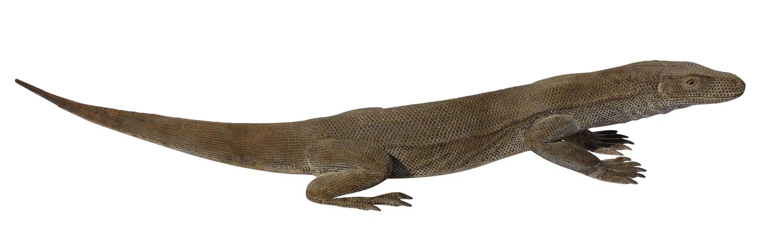 Life Size Carved Komodo Dragon Sculpture For At 1stdibs