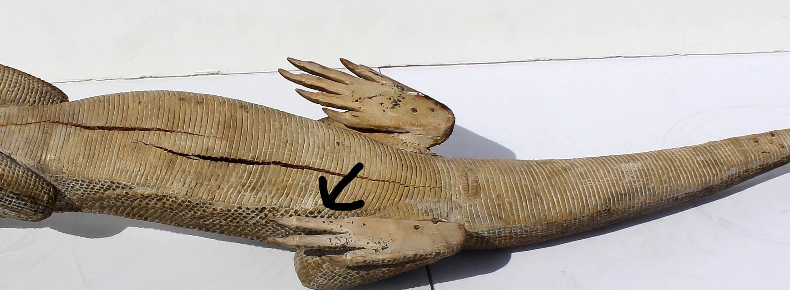 Life-Size Carved Komodo Dragon Sculpture 2