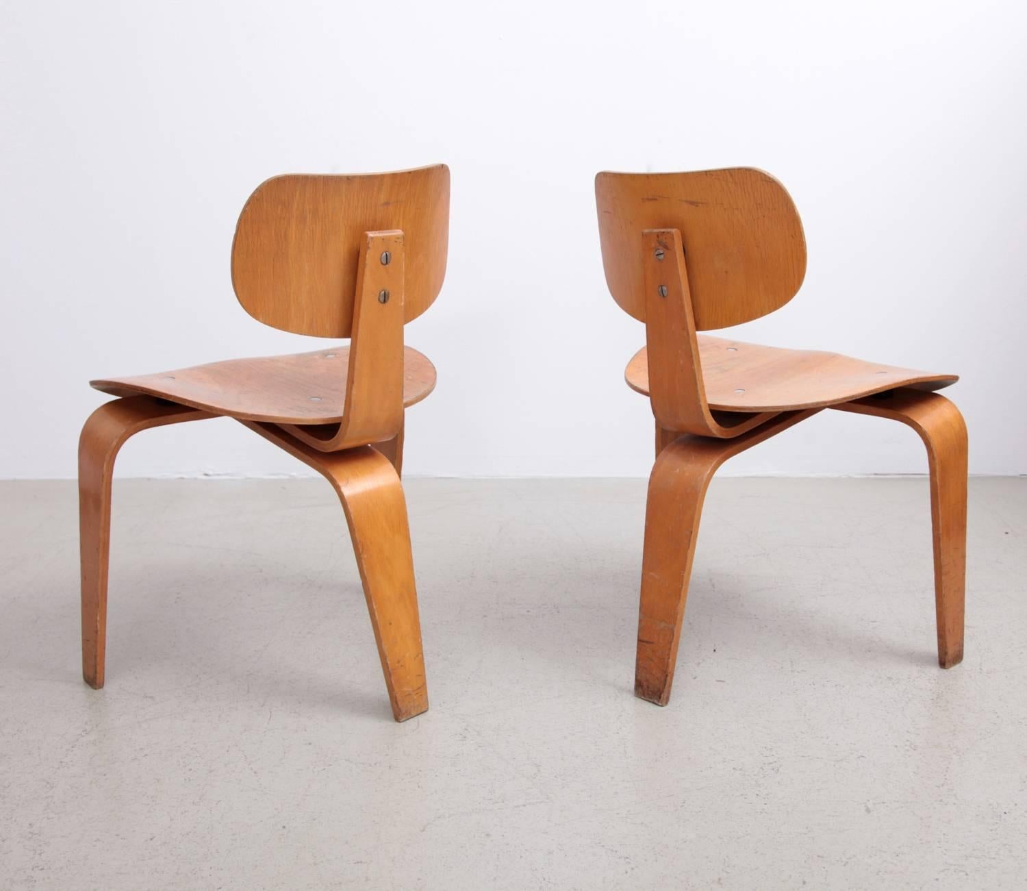 Mid-Century Modern Rare Pair of Early SE42 Egon Eiermann Plywood Chairs, Germany, 1950s