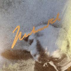 Large Signed Pop Art Muhammad Ali Screenprint on Canvas by Steve Kaufman