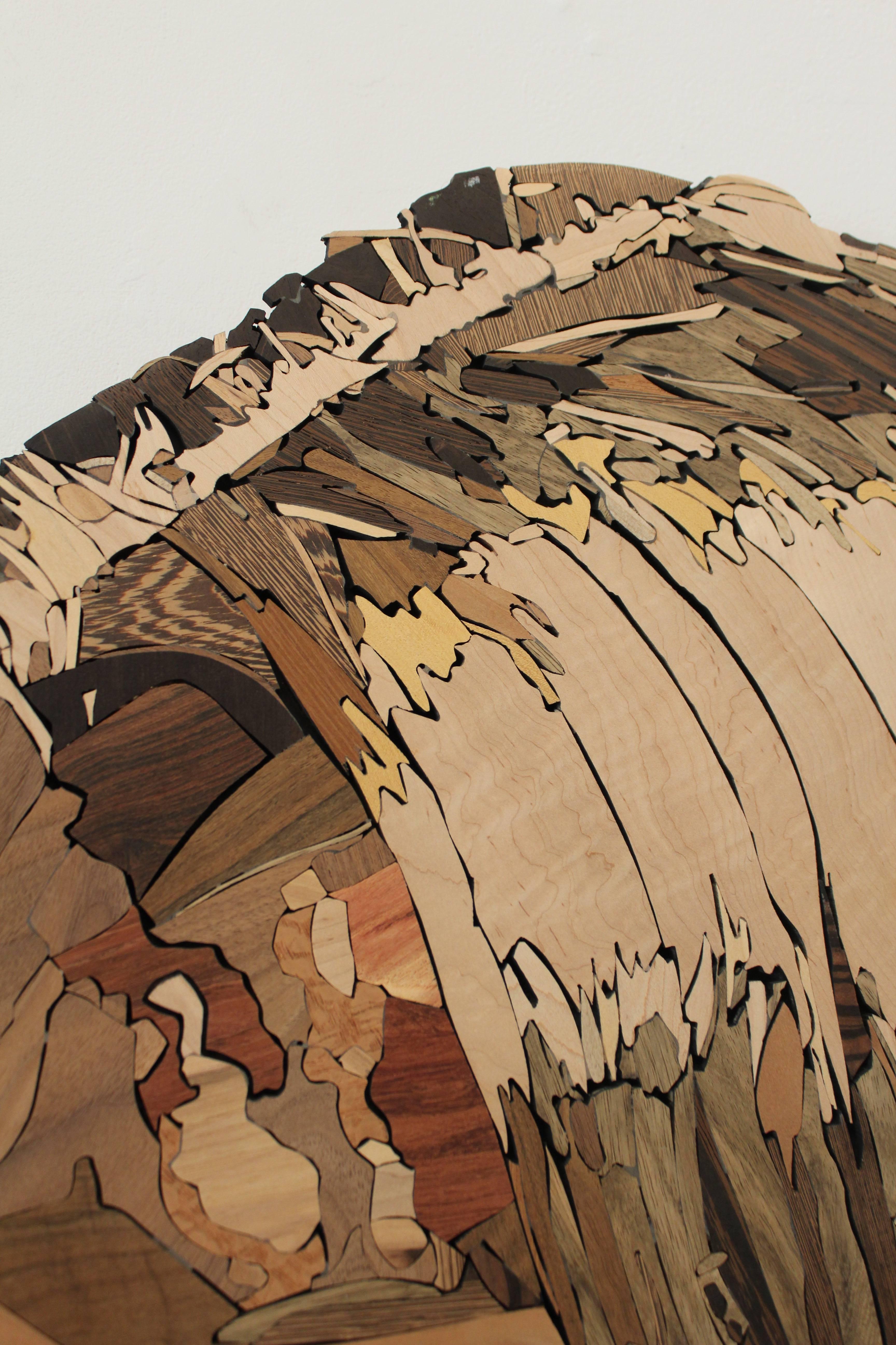 Wood Mosaics by Tom Robinson 