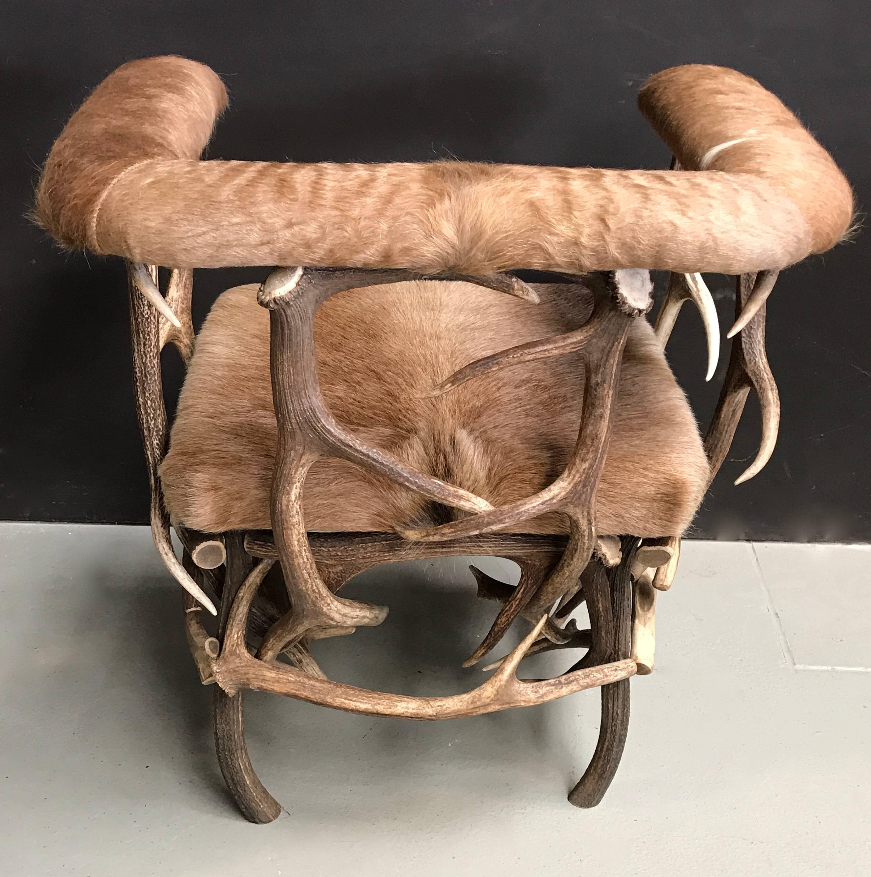 Contemporary Antler Chair with Ecuadorian Cowhide