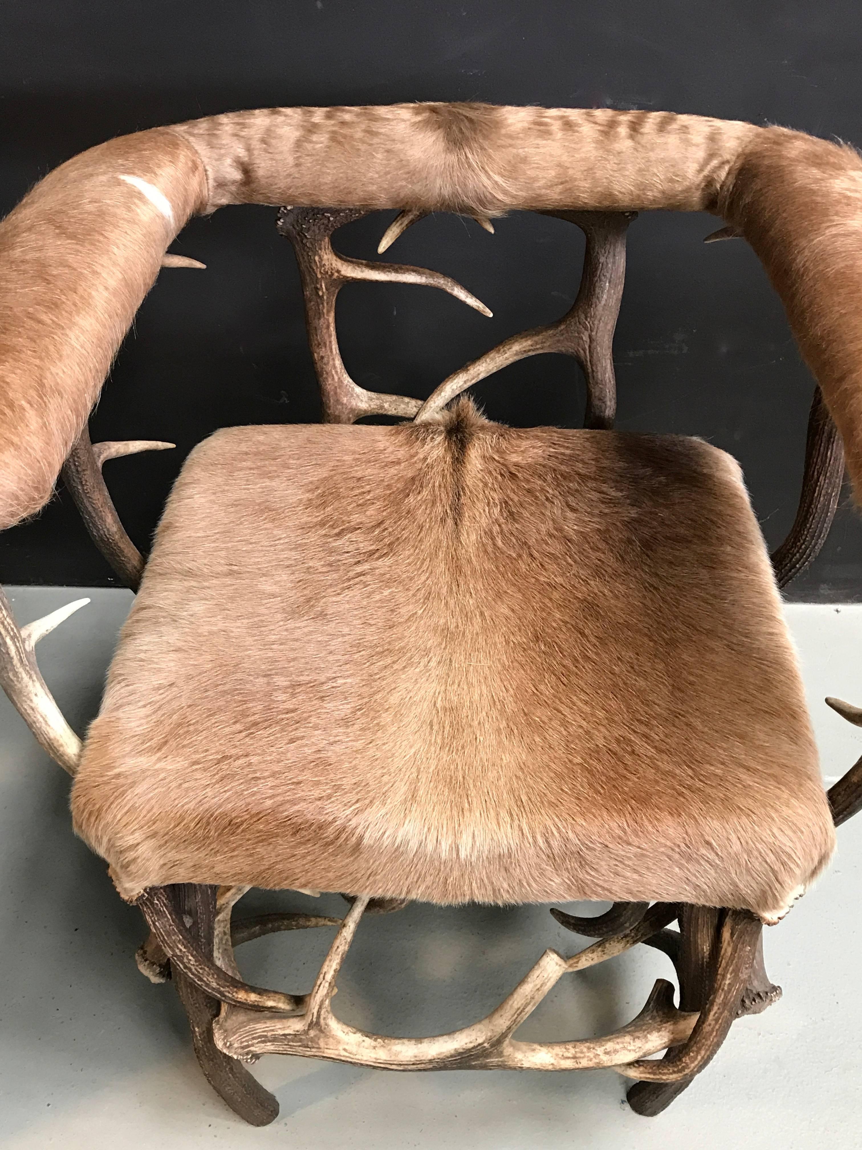 Antler chair made of red deer antlers. 
Seat, back and armrests are upholstered with A-grade cowhide from Ecuador.
     