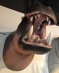 Lebensechte Replica eines Nilpferds