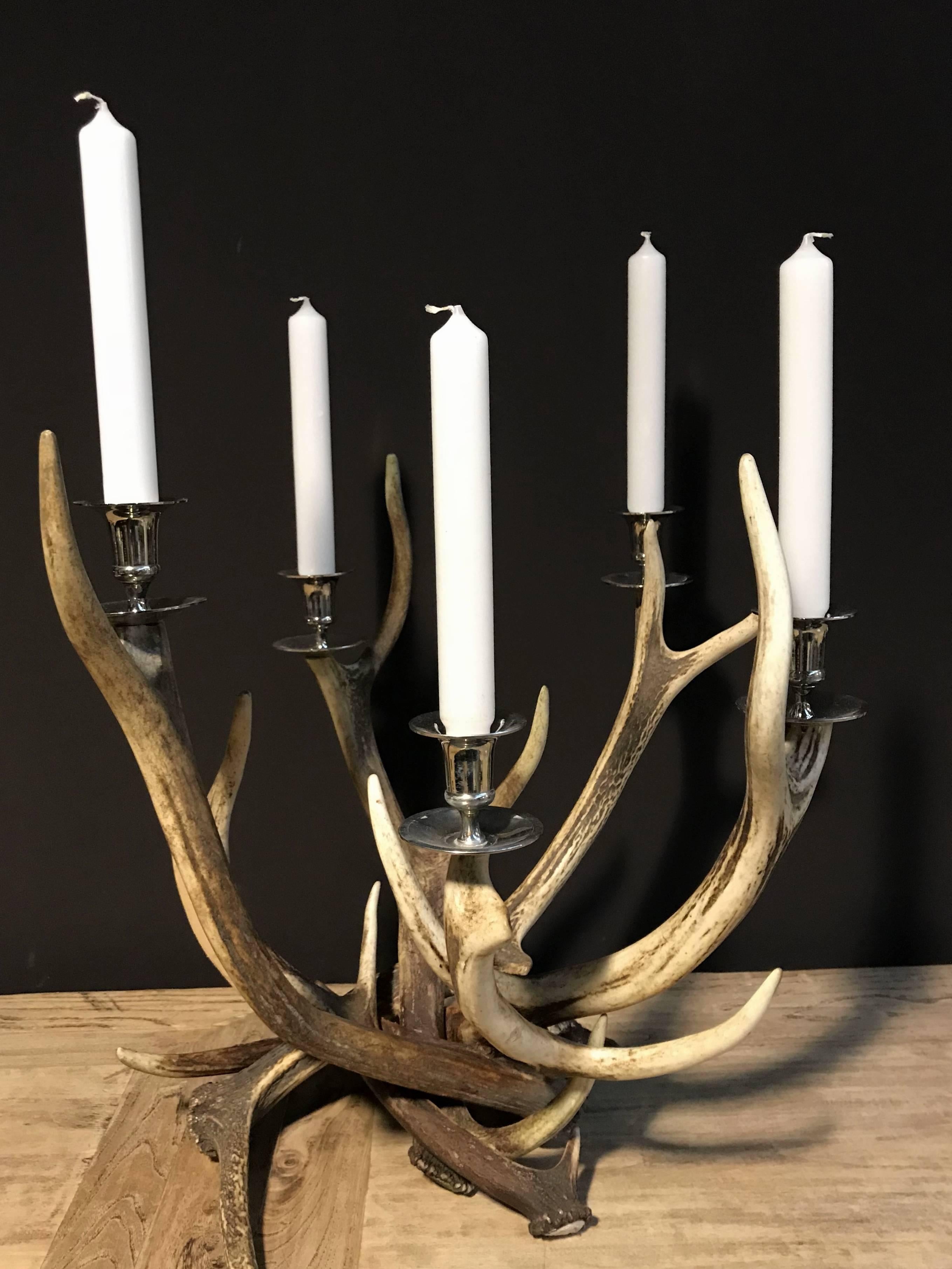 Candleholder made of red deer antlers and shiny chromed brass.