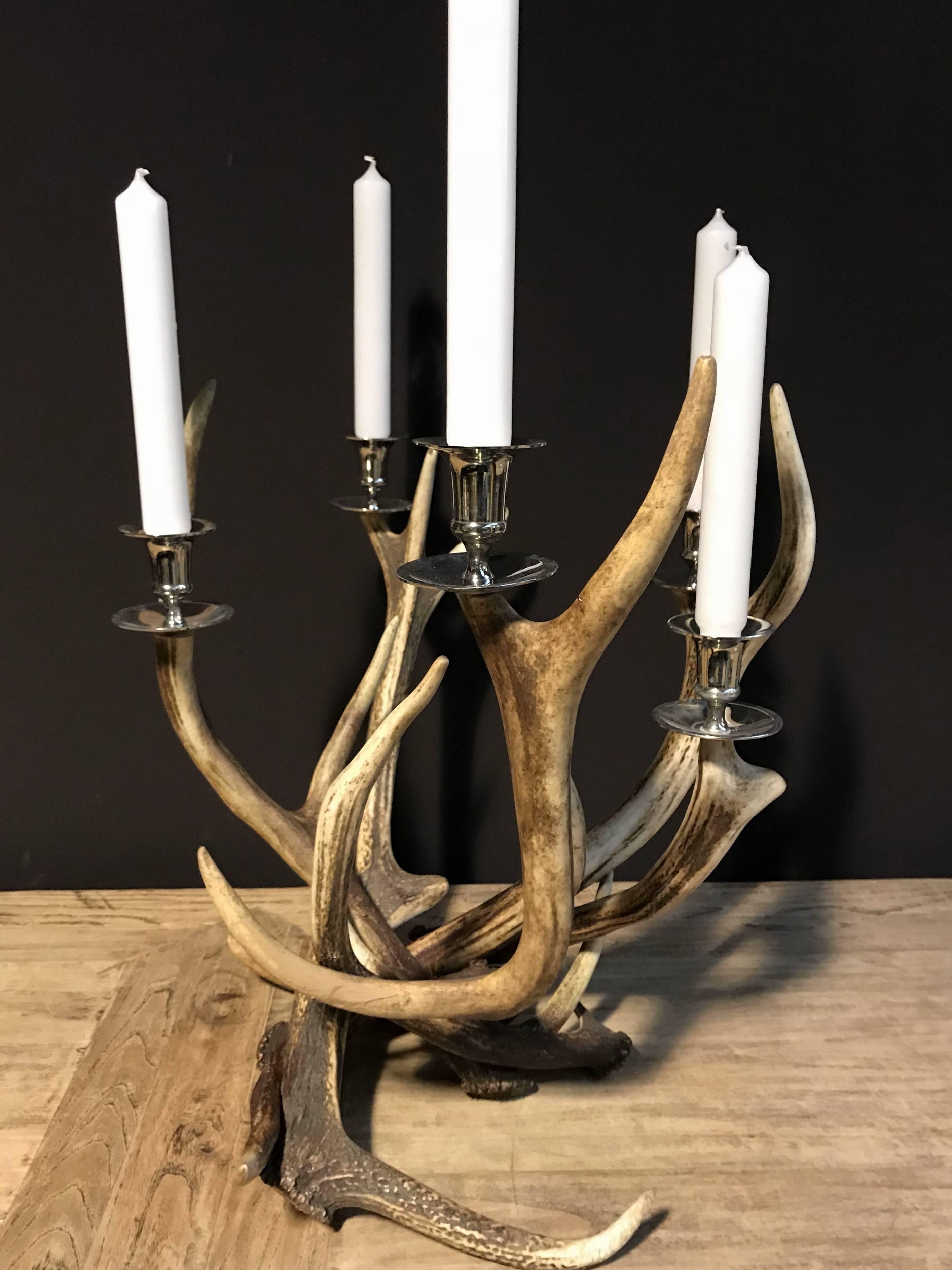 deer antler candle holder
