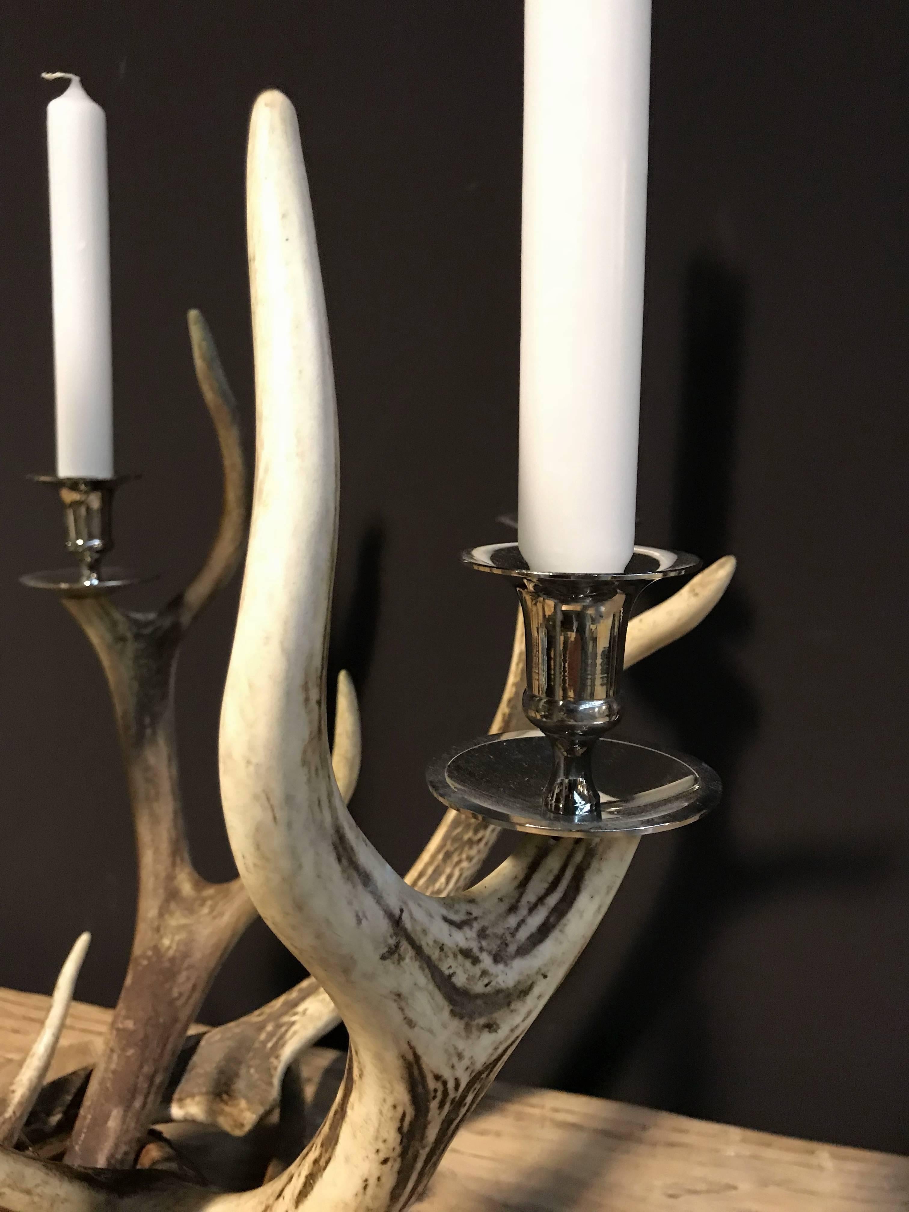 antler candlestick holder