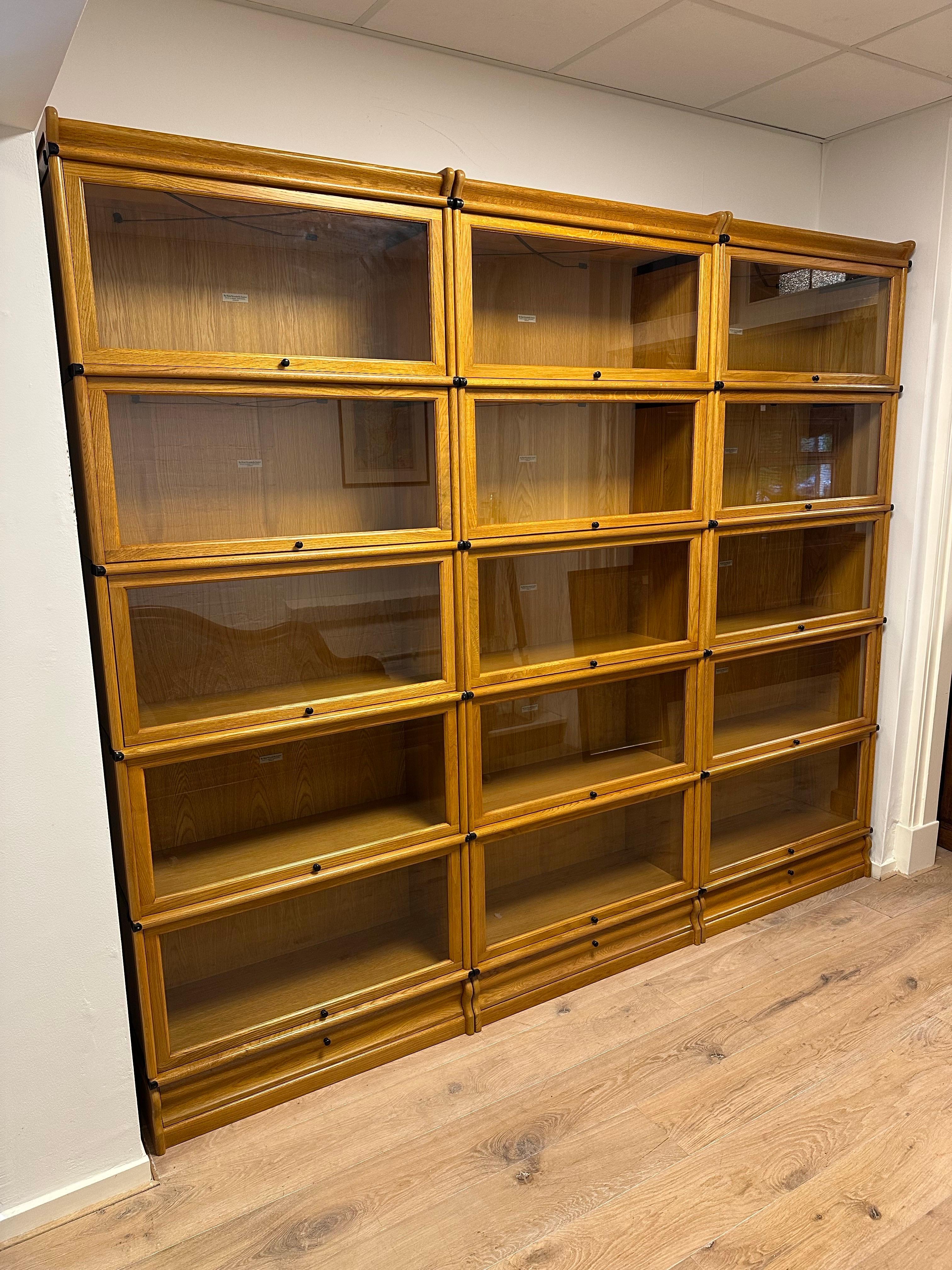 Grande libreria Globe Wernicke in rovere