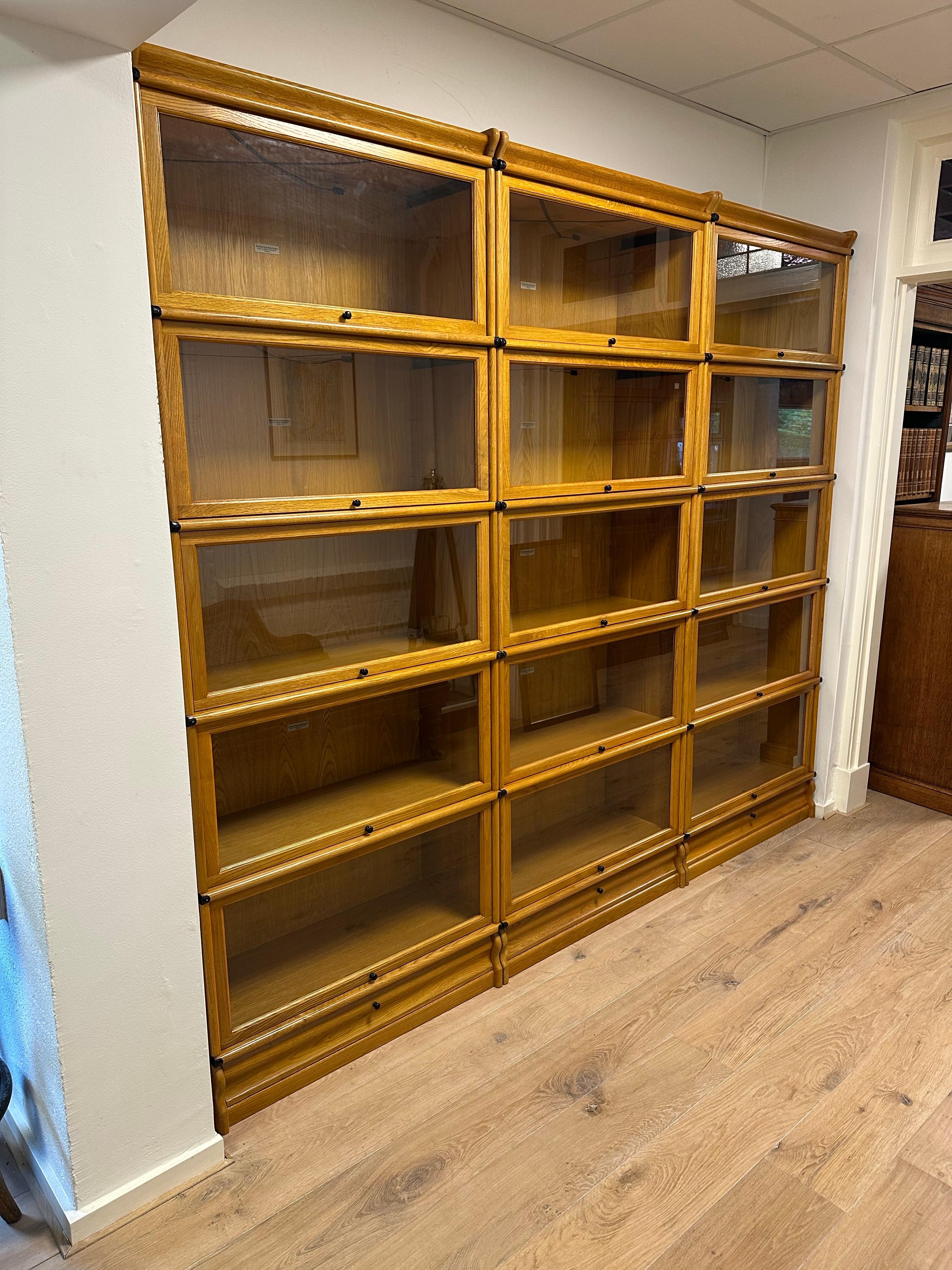 Grande libreria Globe Wernicke in rovere in vendita 1