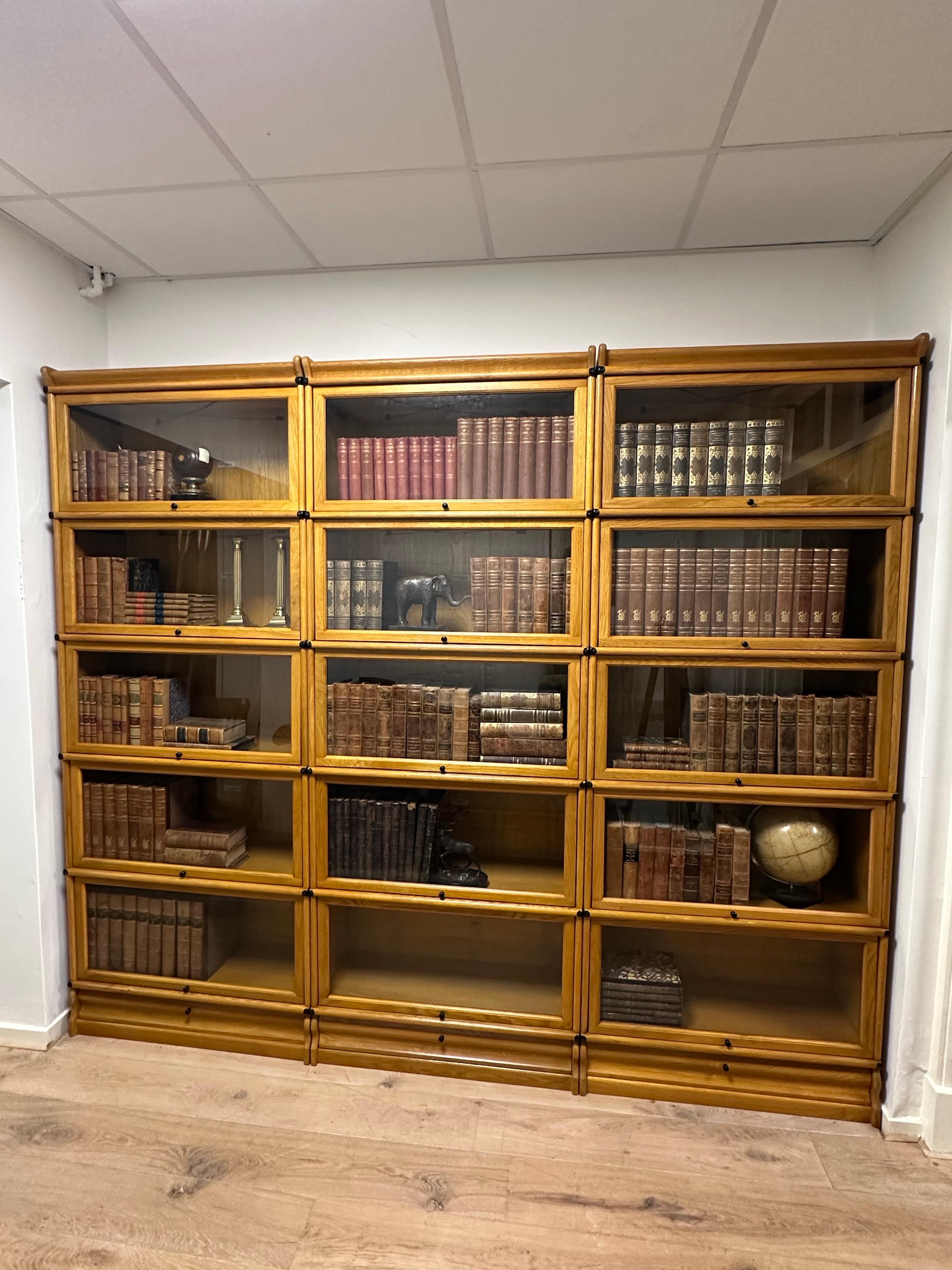 Grande libreria Globe Wernicke in rovere in vendita 5