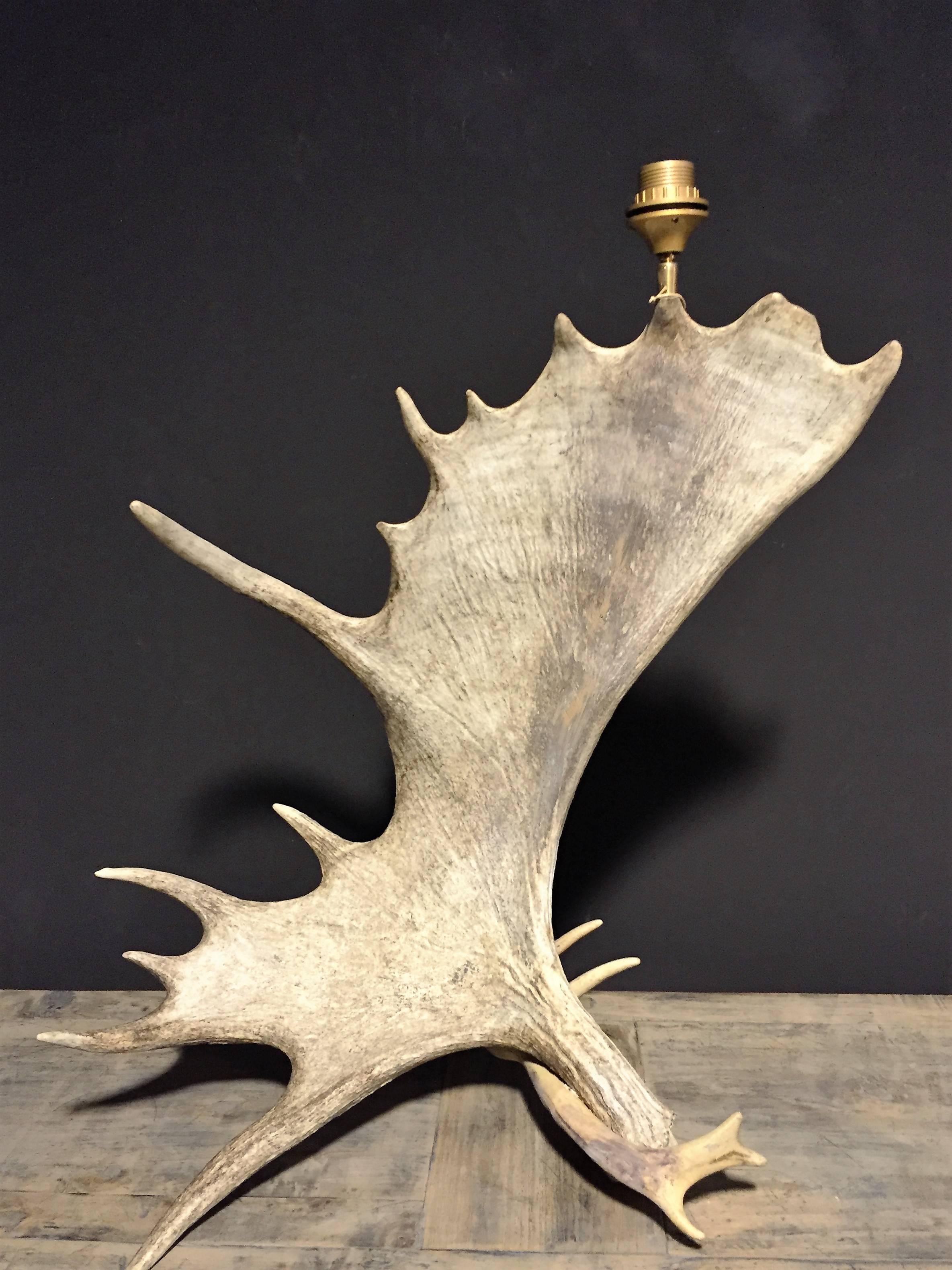 Set of Canadian moose antler lamps In Excellent Condition In Eindhoven, NL