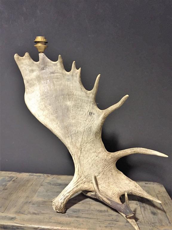 Set of Canadian moose antler lamps at 1stdibs