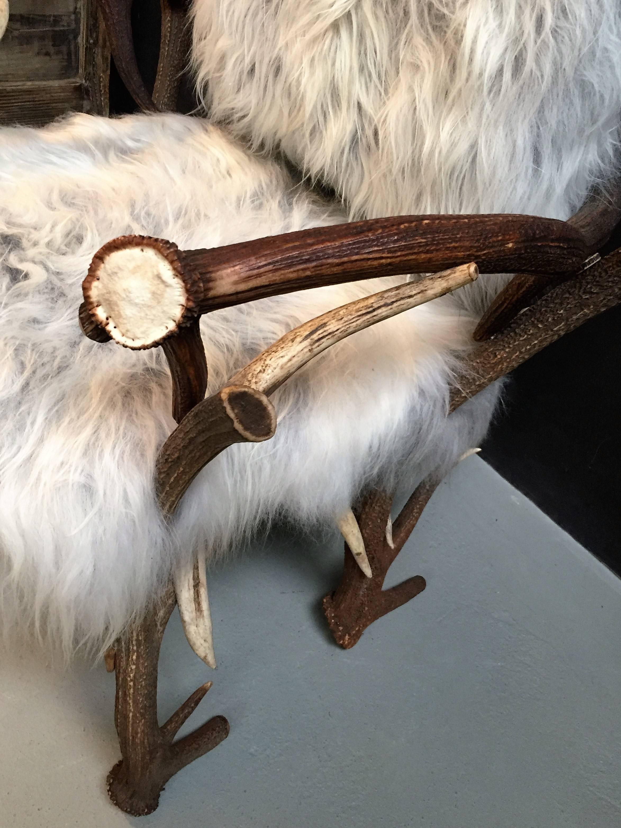 Antler chair with grey Iceland sheepskin upholstery 1