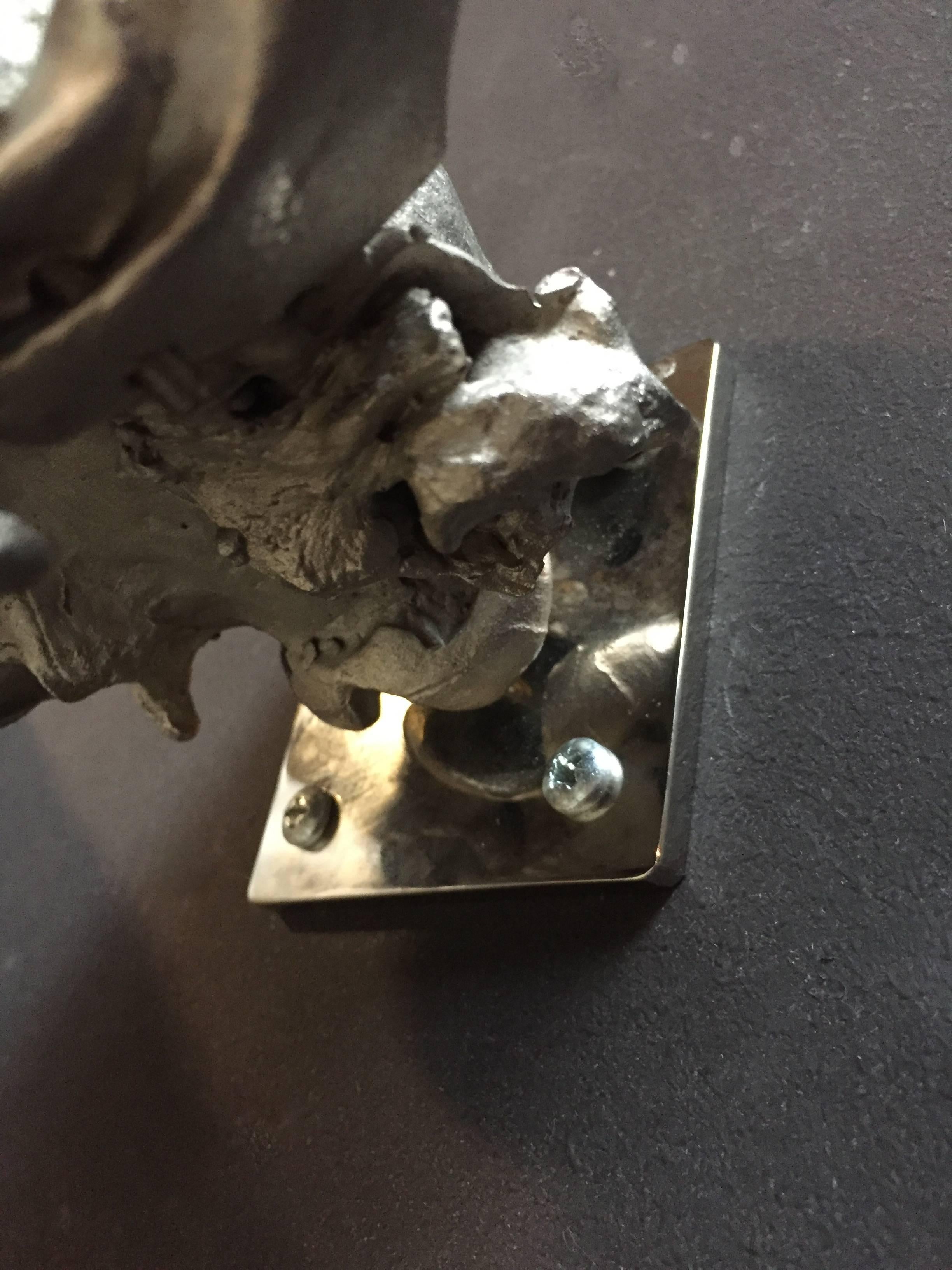 Casted Bronze Skull of a Bear at 1stDibs