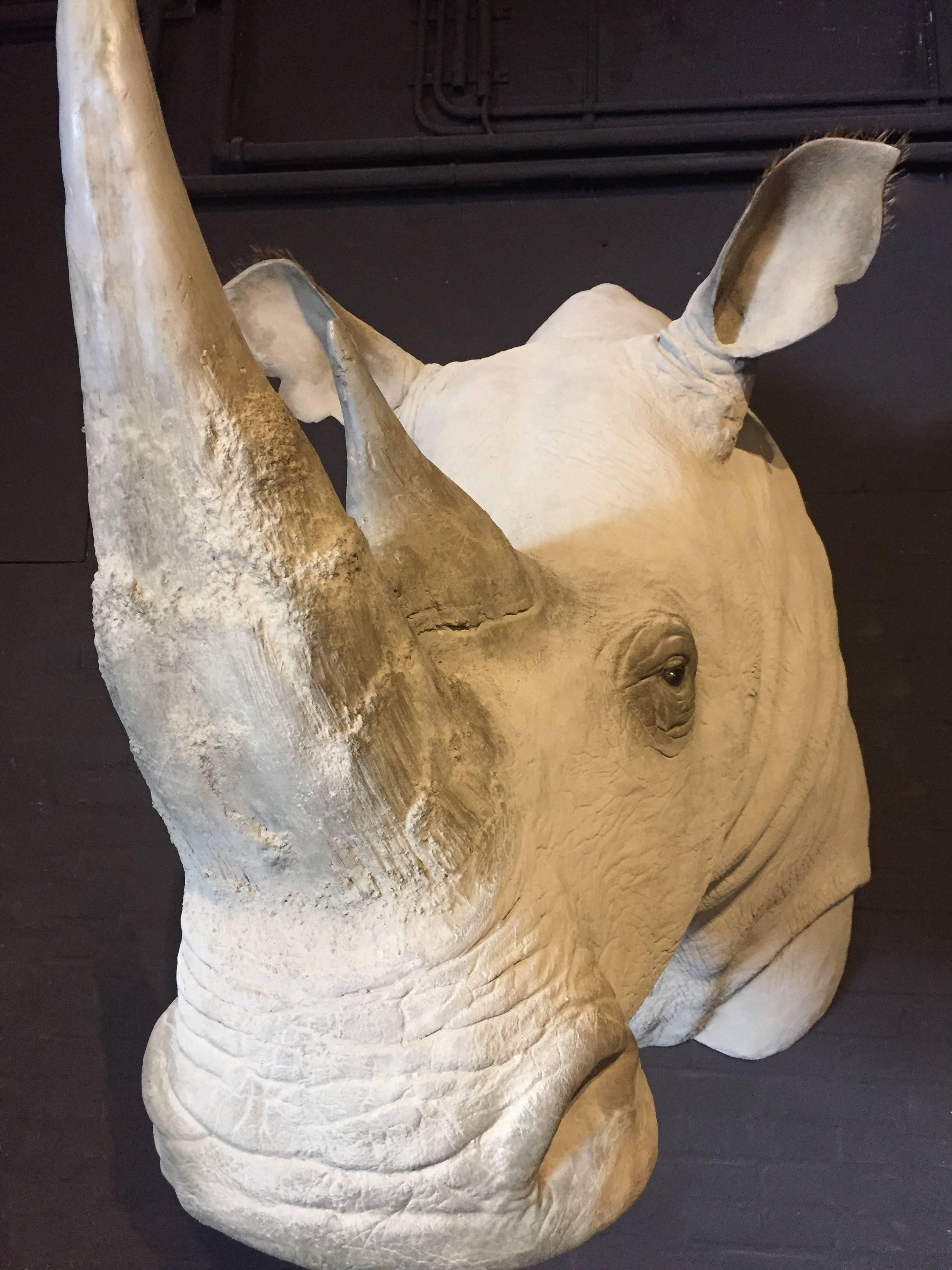 Replica d'une tête de trophée de rhinocéros blanc Excellent état - En vente à Eindhoven, NL