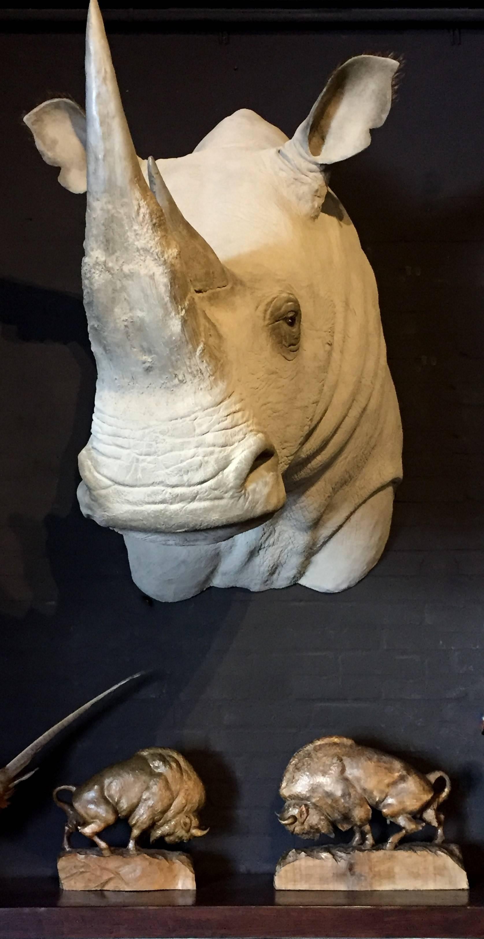 XXIe siècle et contemporain Replica d'une tête de trophée de rhinocéros blanc en vente