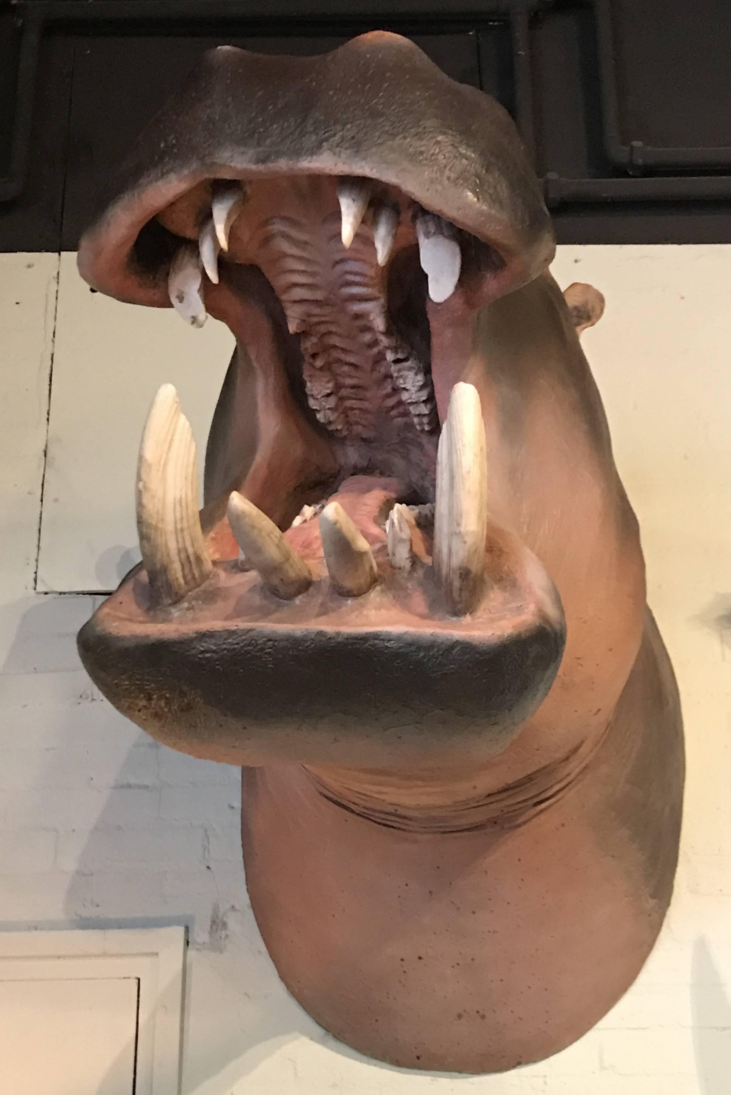 Belgian Lifelike Replica of a Hippopotamus For Sale