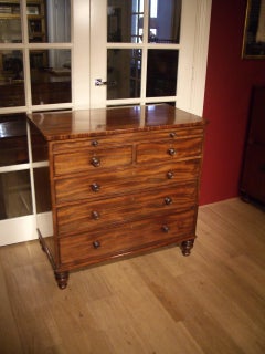 19th Century Mahogany Chest of Drawers with Mirror