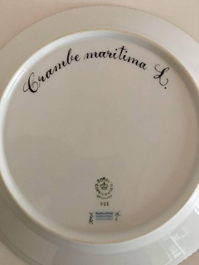 Royal Copenhagen Flora Danica luncheon plate no. 622. 22 cm (8 21/3 in). Latin Name: Crambe Maritima. 1st quality. In perfect condition.