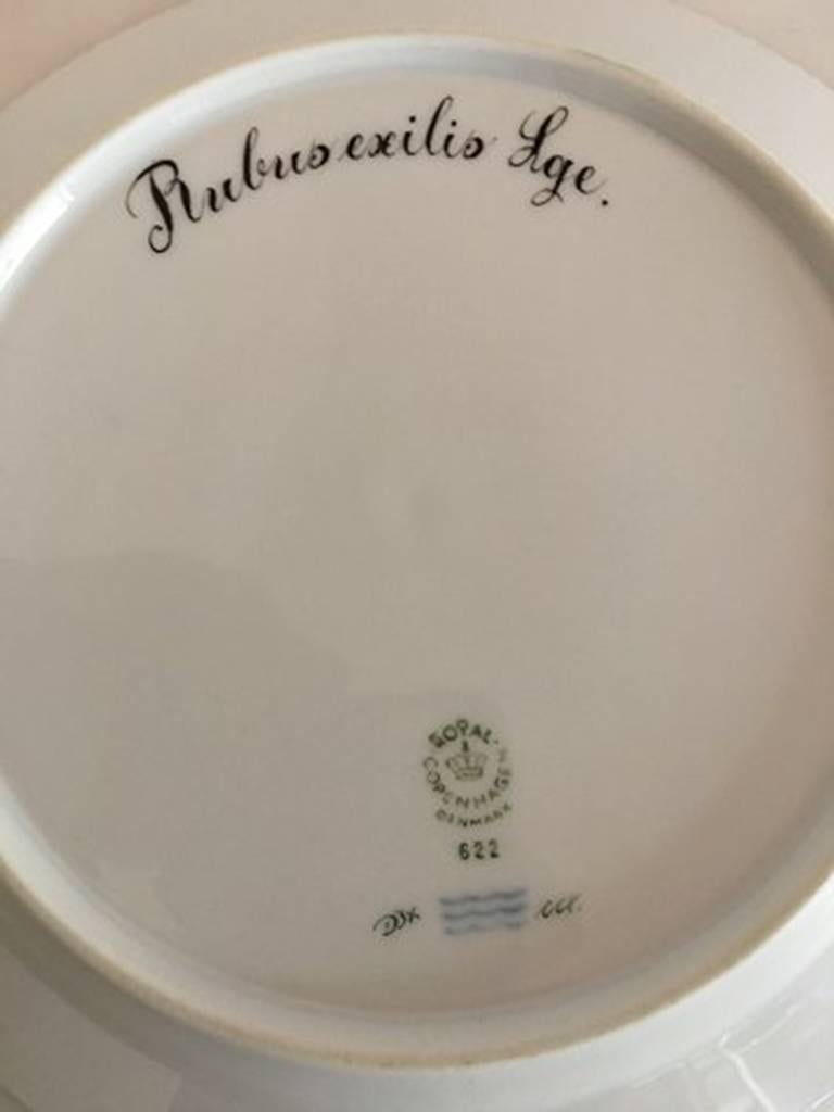 Royal Copenhagen Flora Danica luncheon plate no. 622. 22 cm diameter (8 21/32 in). 1st quality. In perfect condition Latin name Rubus exilis Lge.