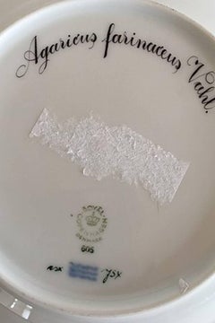 Royal Copenhagen Flora Danica Deep Plate with Mushrooms #605 or 3545