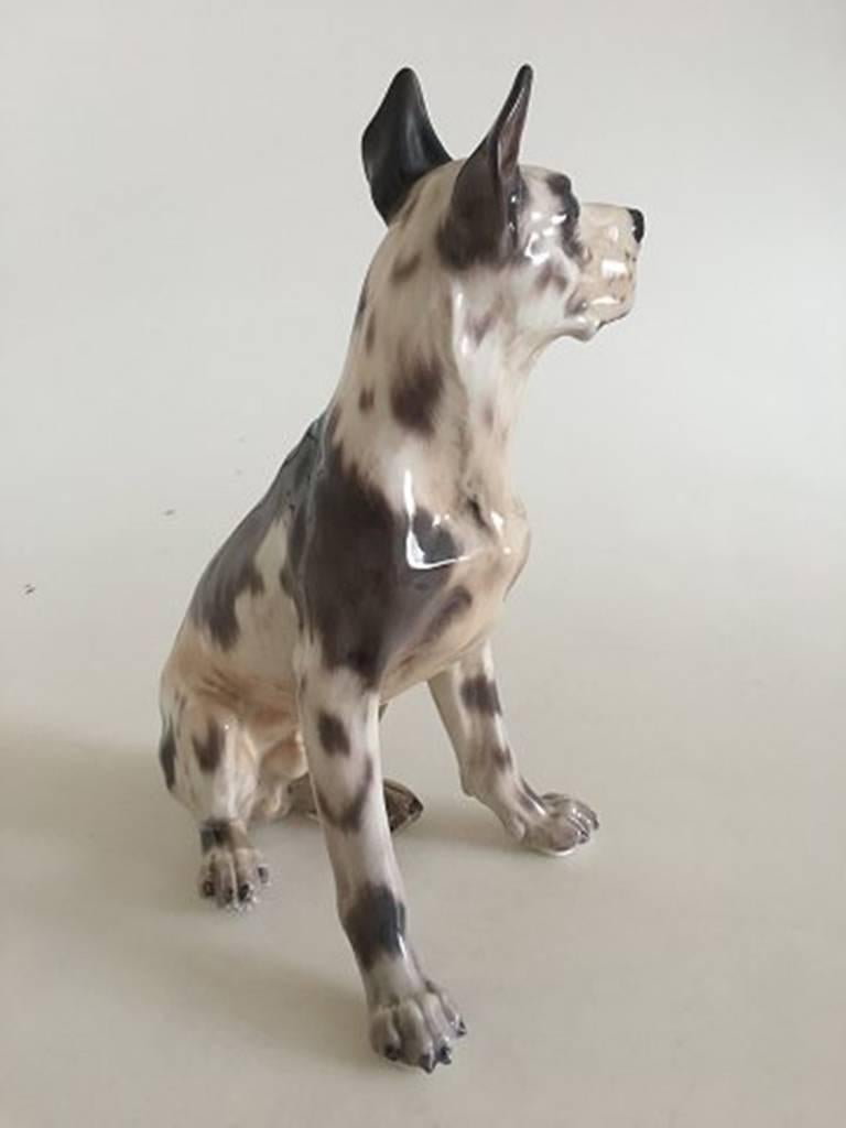 Dahl Jensen figurine of dog Great Dane #1111. Measures 26 cm high. Marked as a second. In perfect condition.