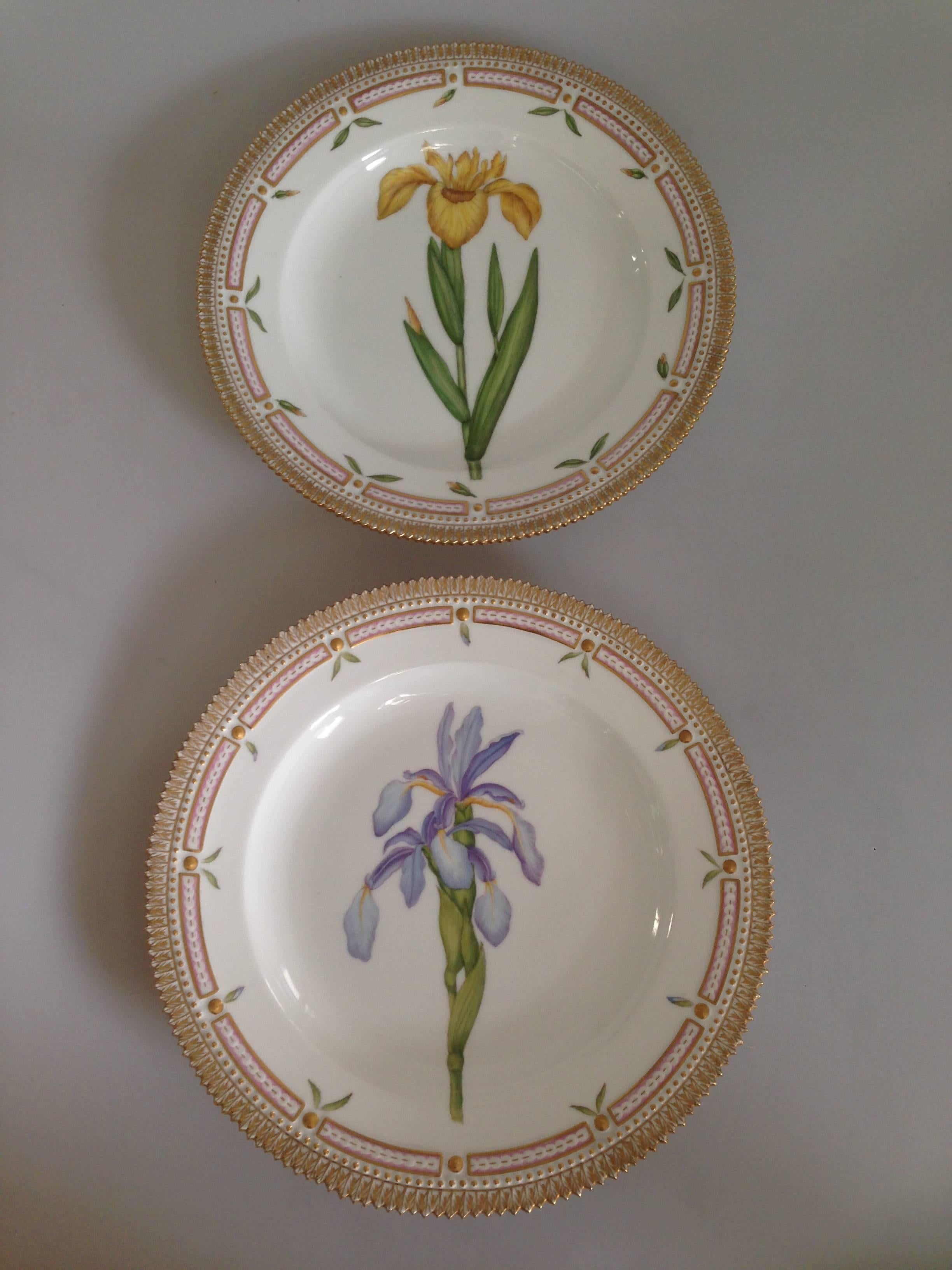 This is a set of 12 dinner plates. All different flowers. All from made from 1935-1970.

#20/3546.

The history behind Flora Danica.

Naturale science.

During the golden age of porcelain production in Europe, the elite began to take an
