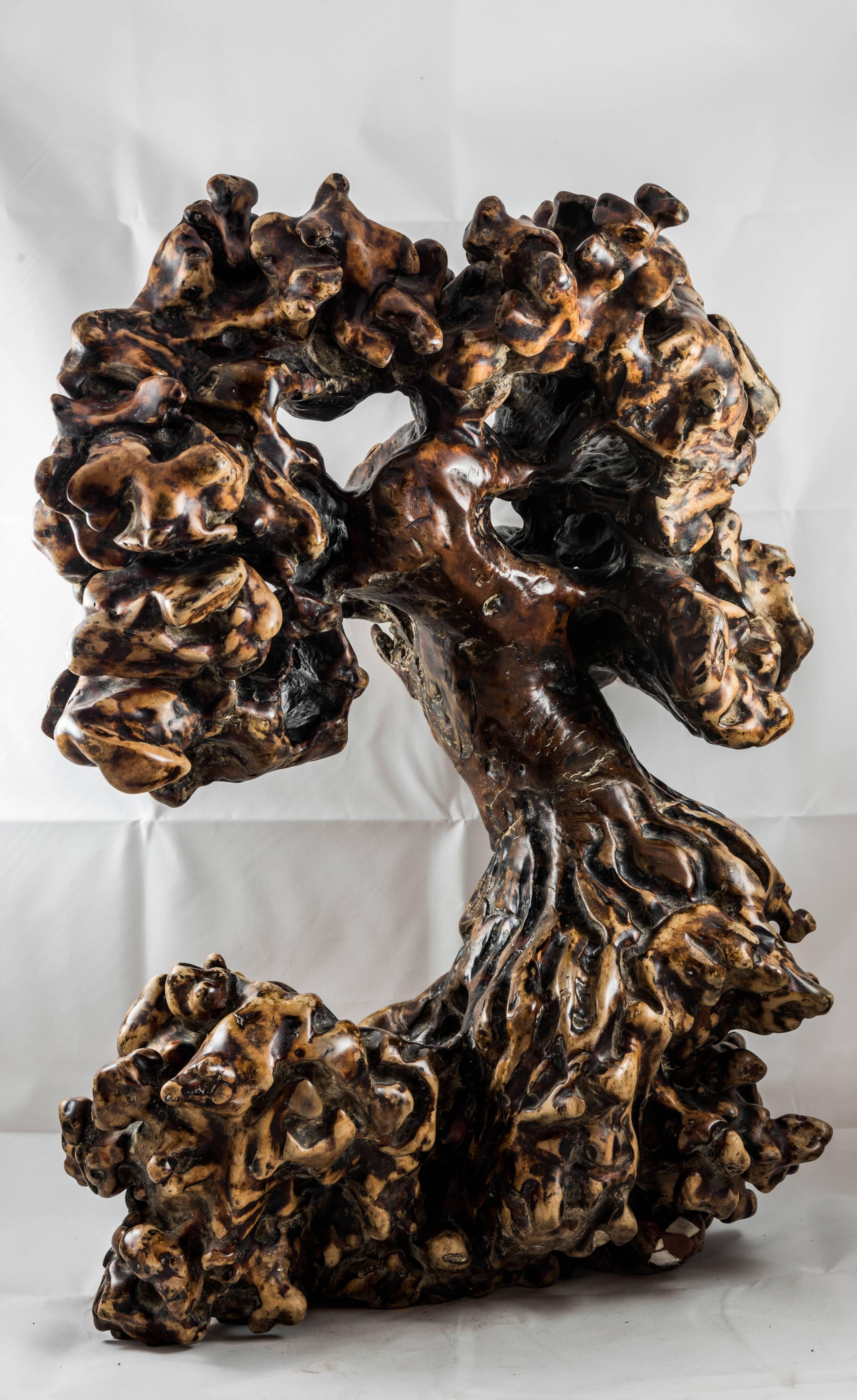 Chinese Sculpture, Natural Root Wood For Sale